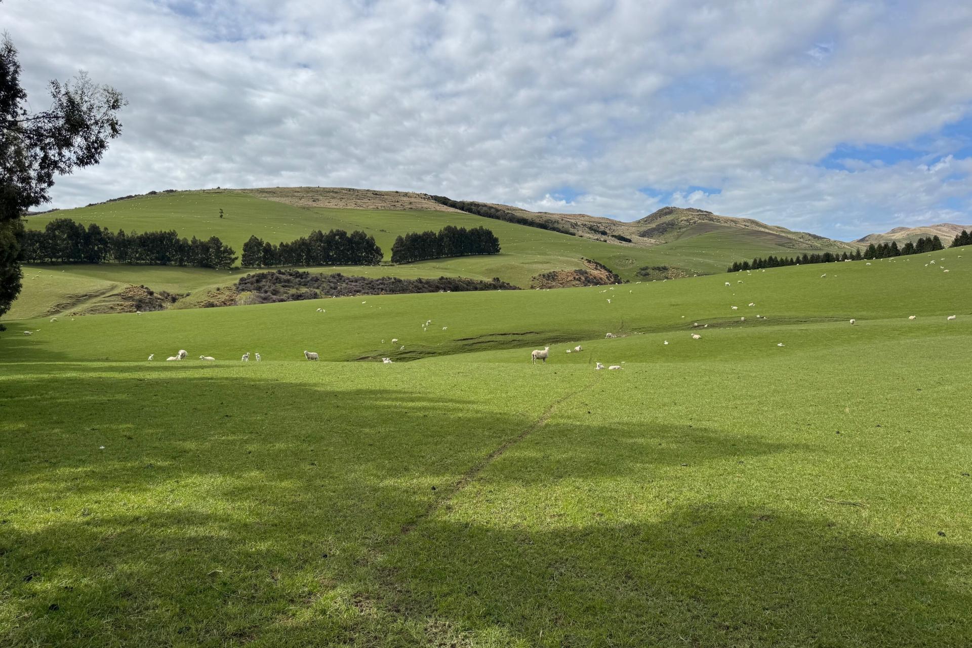 365 Glenure Hill Road, Hokonui Hills