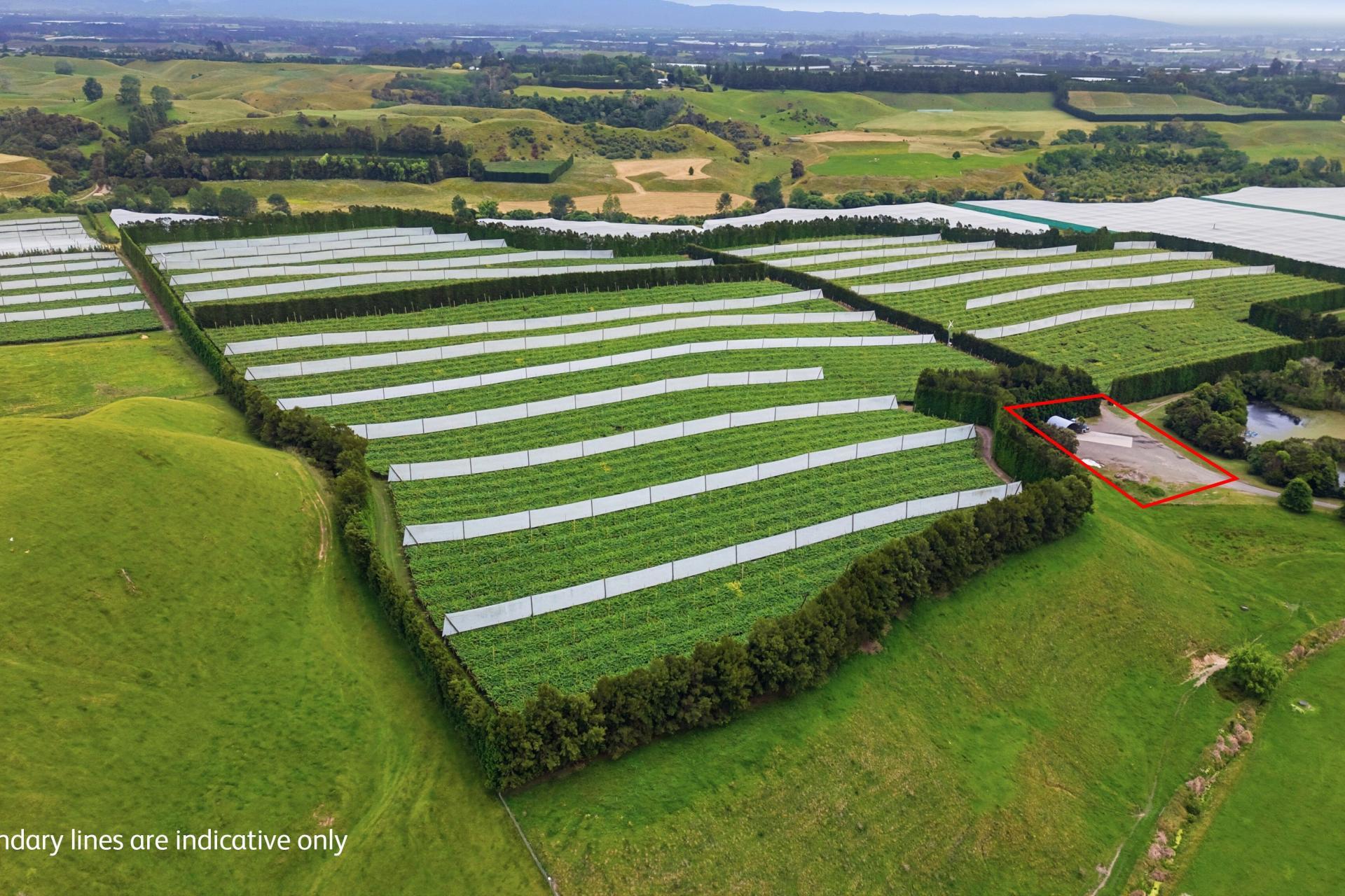 80 Roydon Downs Road, Paengaroa