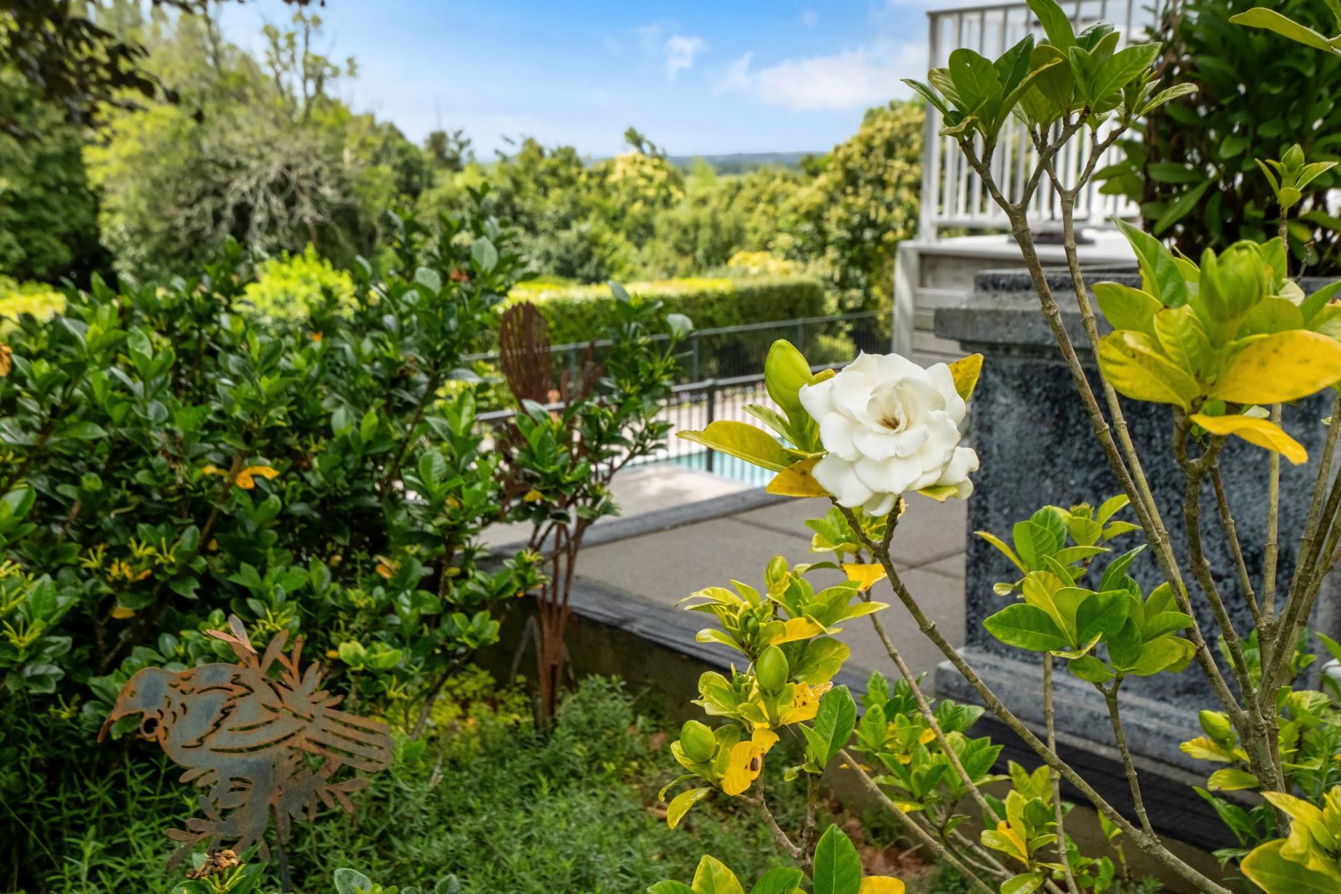 322 Te Puke Highway, Papamoa