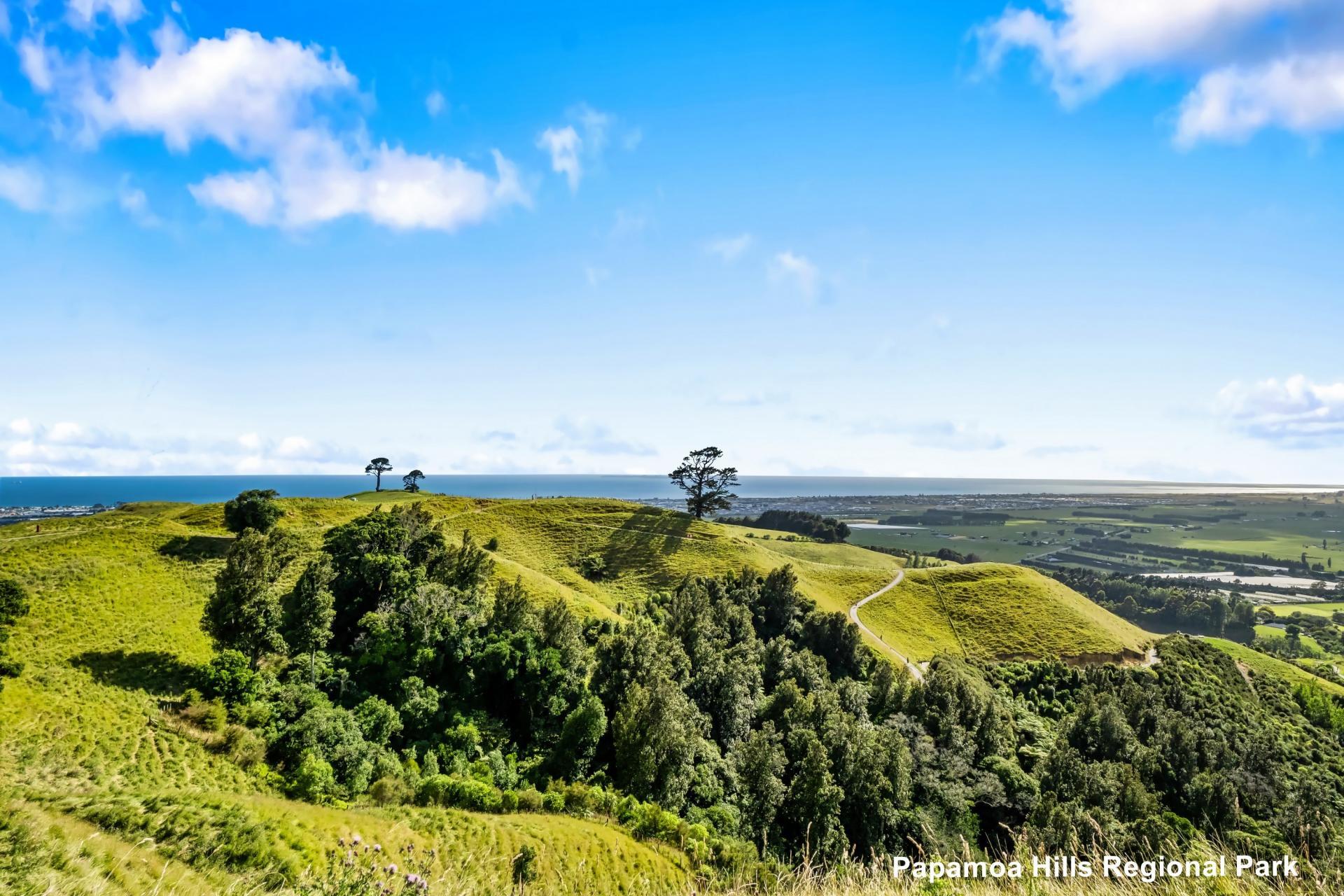 322 Te Puke Highway, Papamoa