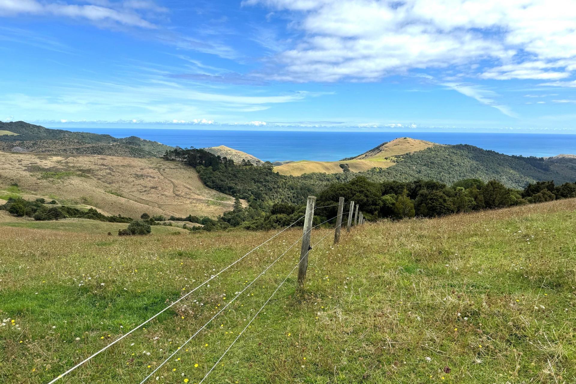Cnr Hood Rd and SH12, Dargaville Surrounds