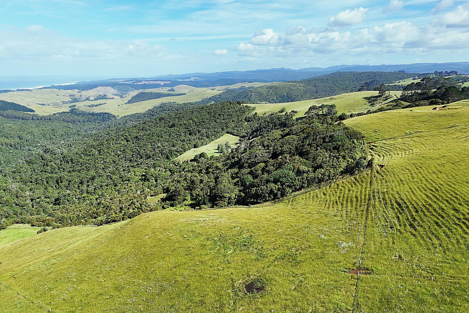 Cnr Hood Rd and SH12, Dargaville Surrounds
