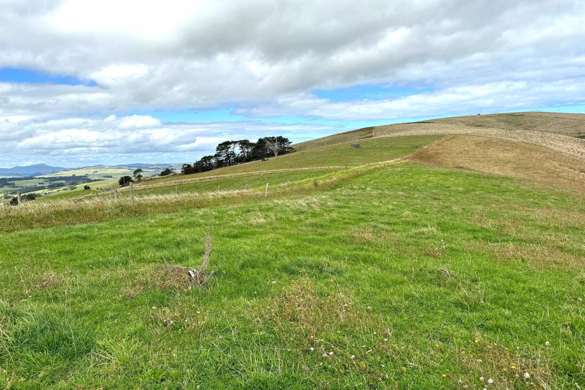 Cnr Hood Rd and SH12, Dargaville Surrounds