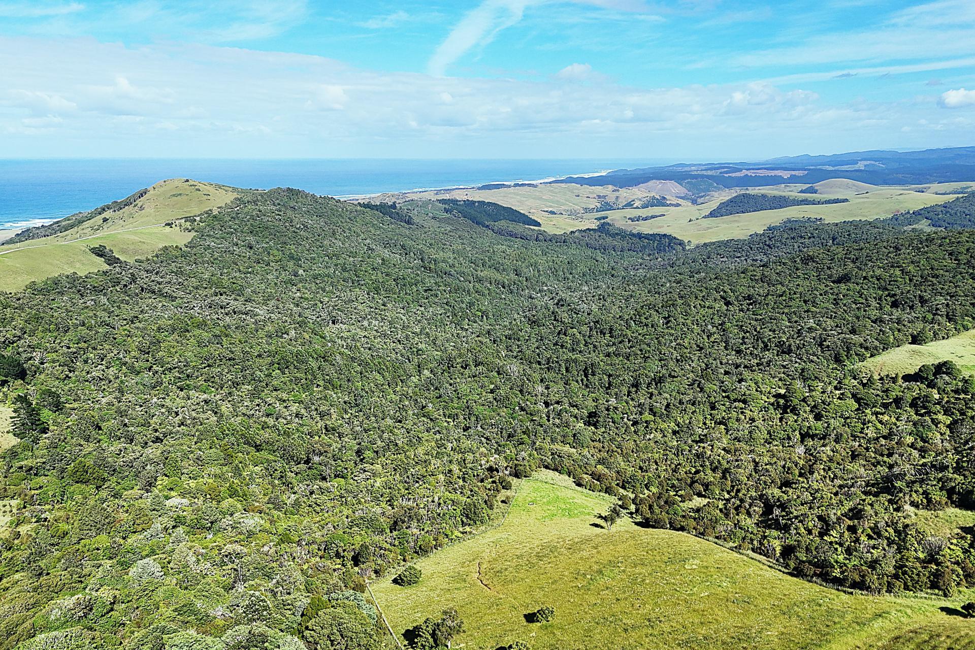 Cnr Hood Rd and SH12, Dargaville Surrounds