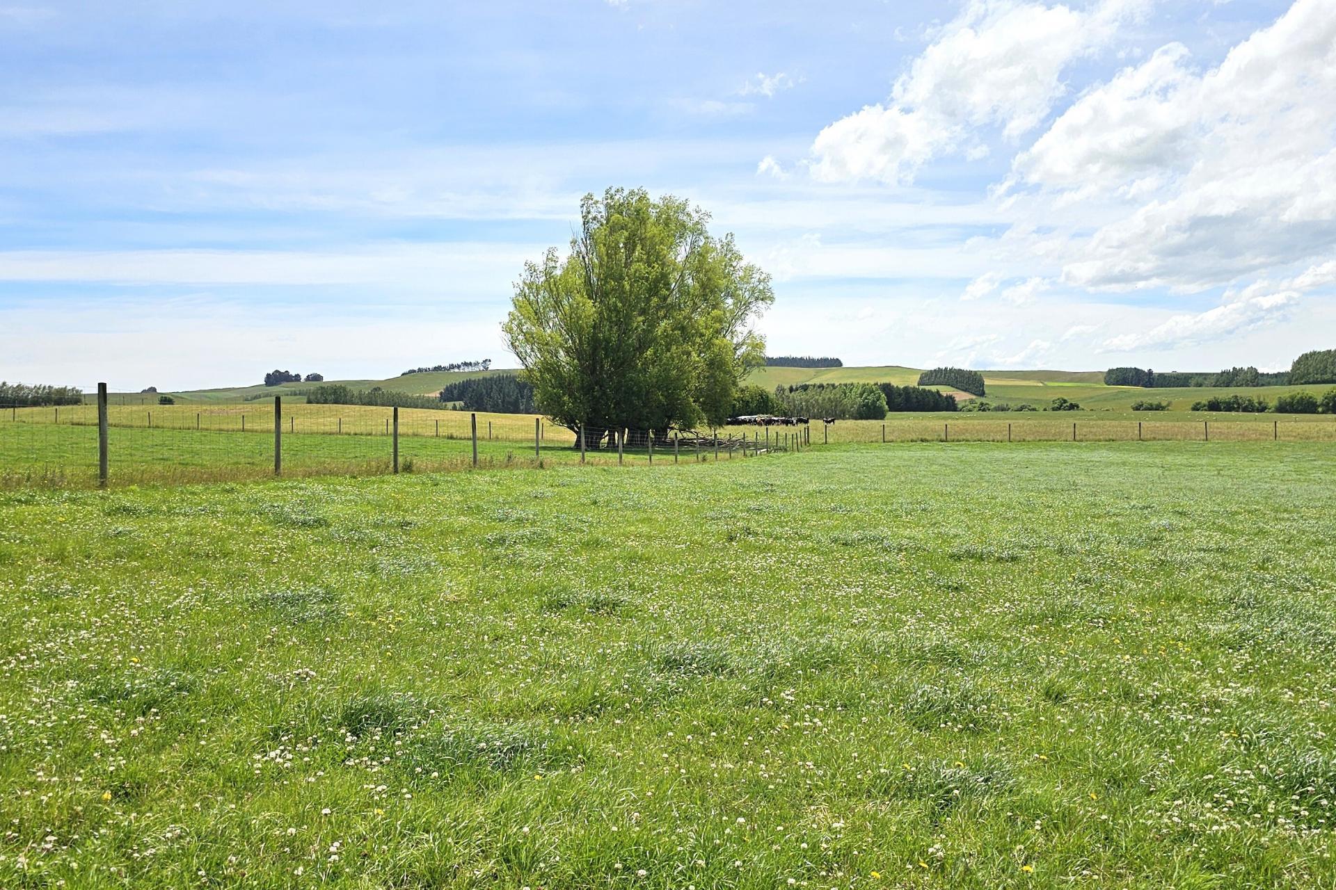 391A Otama Road, Otama