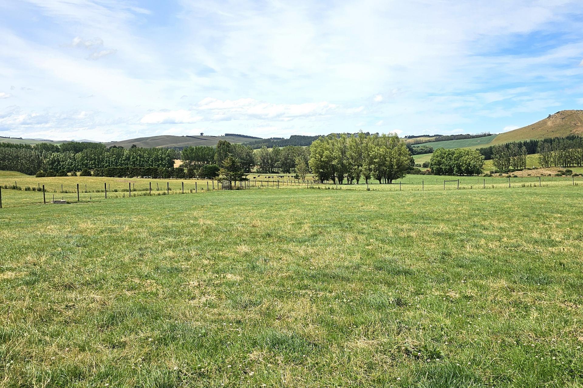 391A Otama Road, Otama