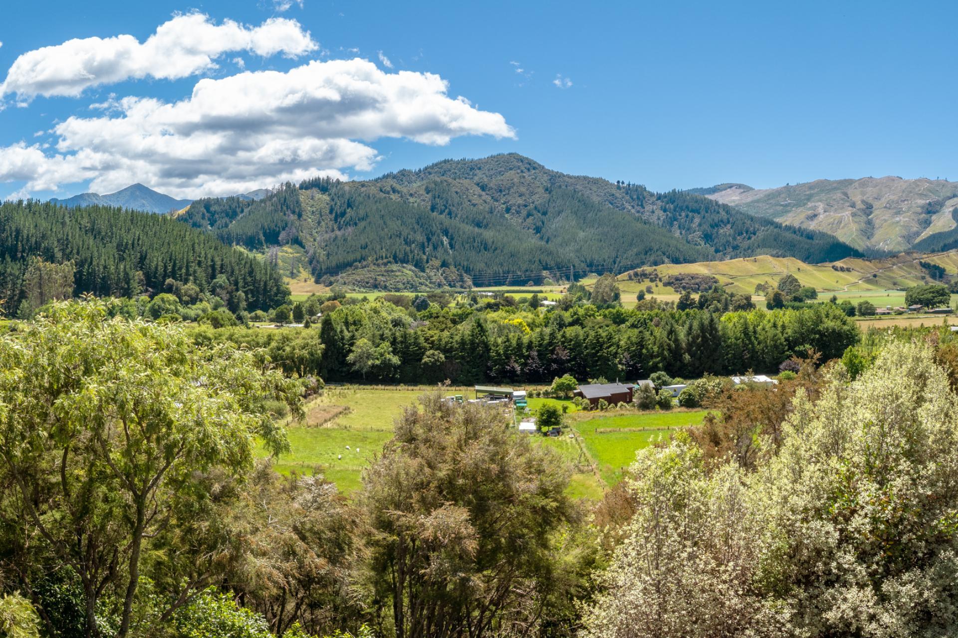 56 Camerons Road, Okaramio