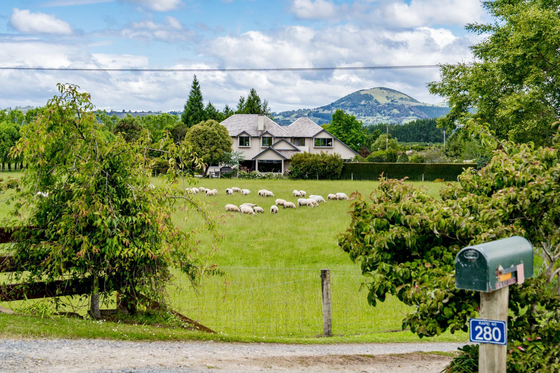 280 Wairongoa Road, North Taieri