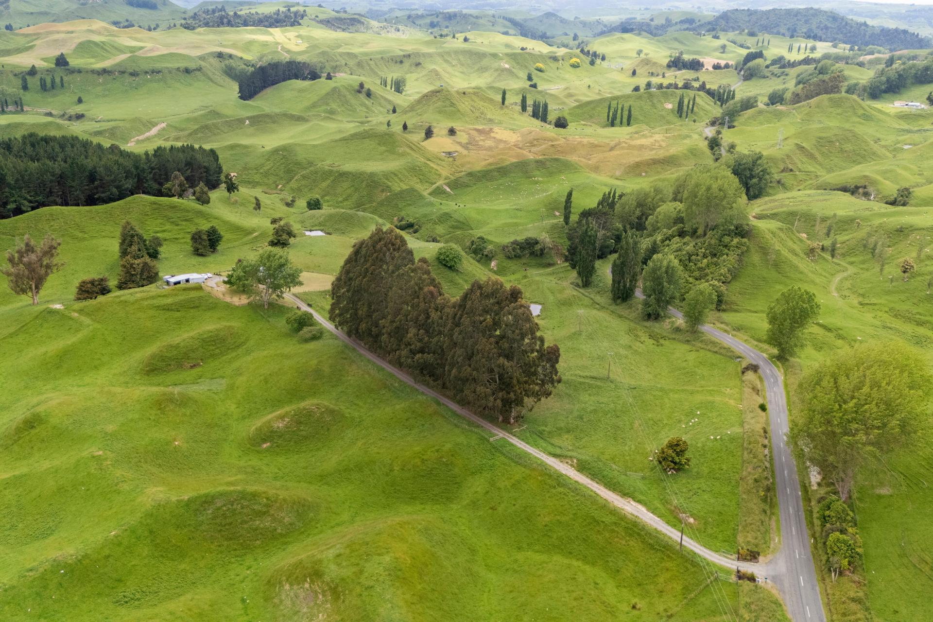 412 Rongoiti Road, Taihape