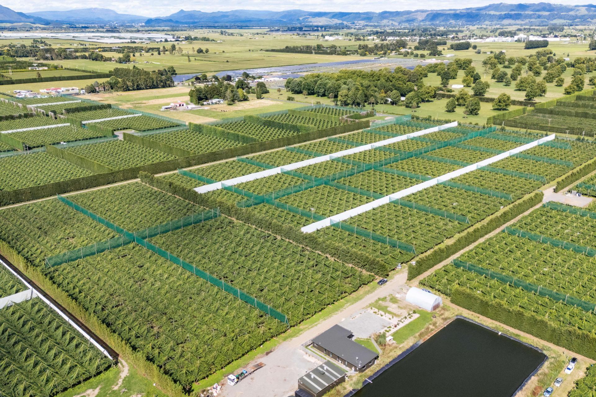 163C Western Drain Road, Edgecumbe