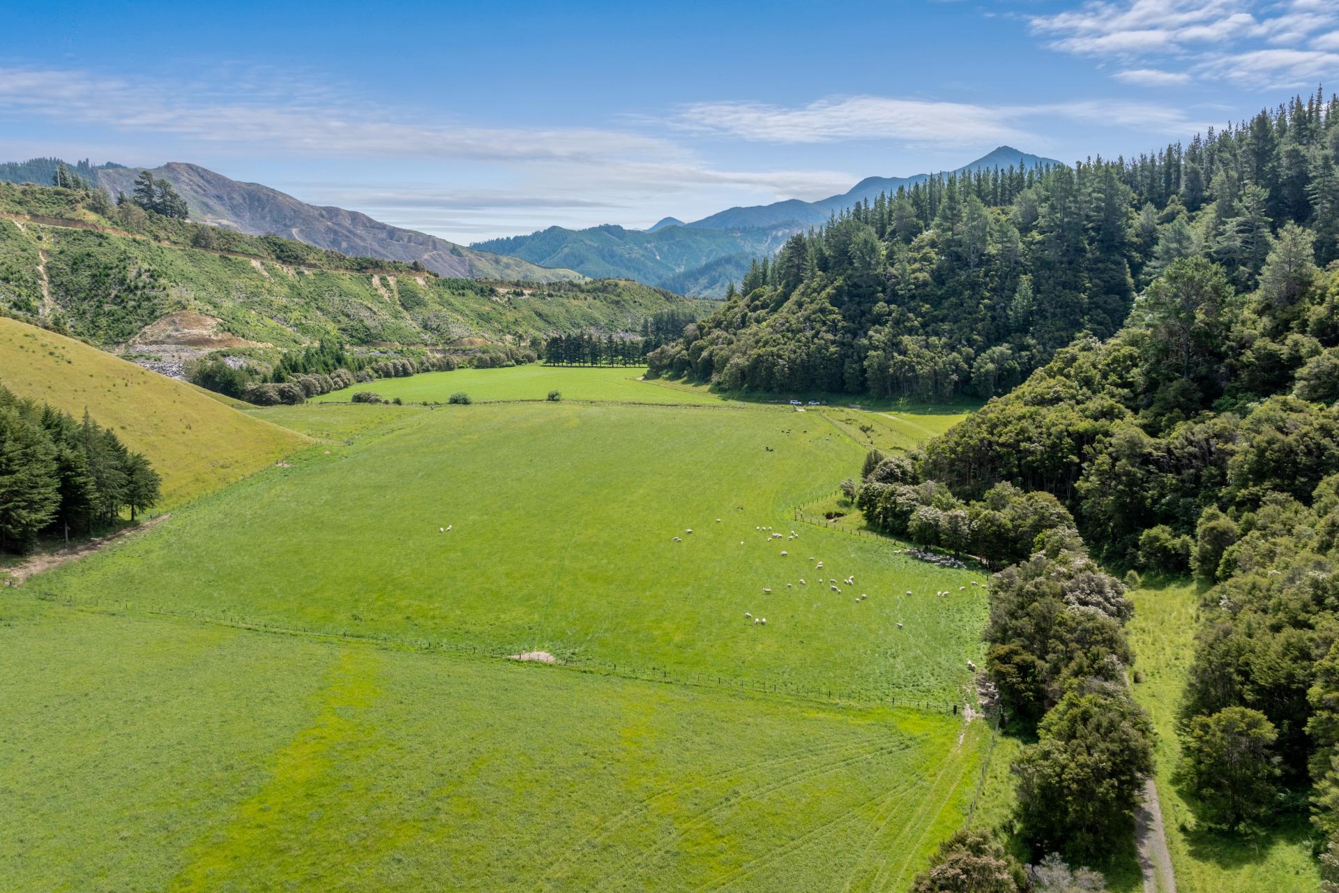 140 Leslies Road, Okaramio