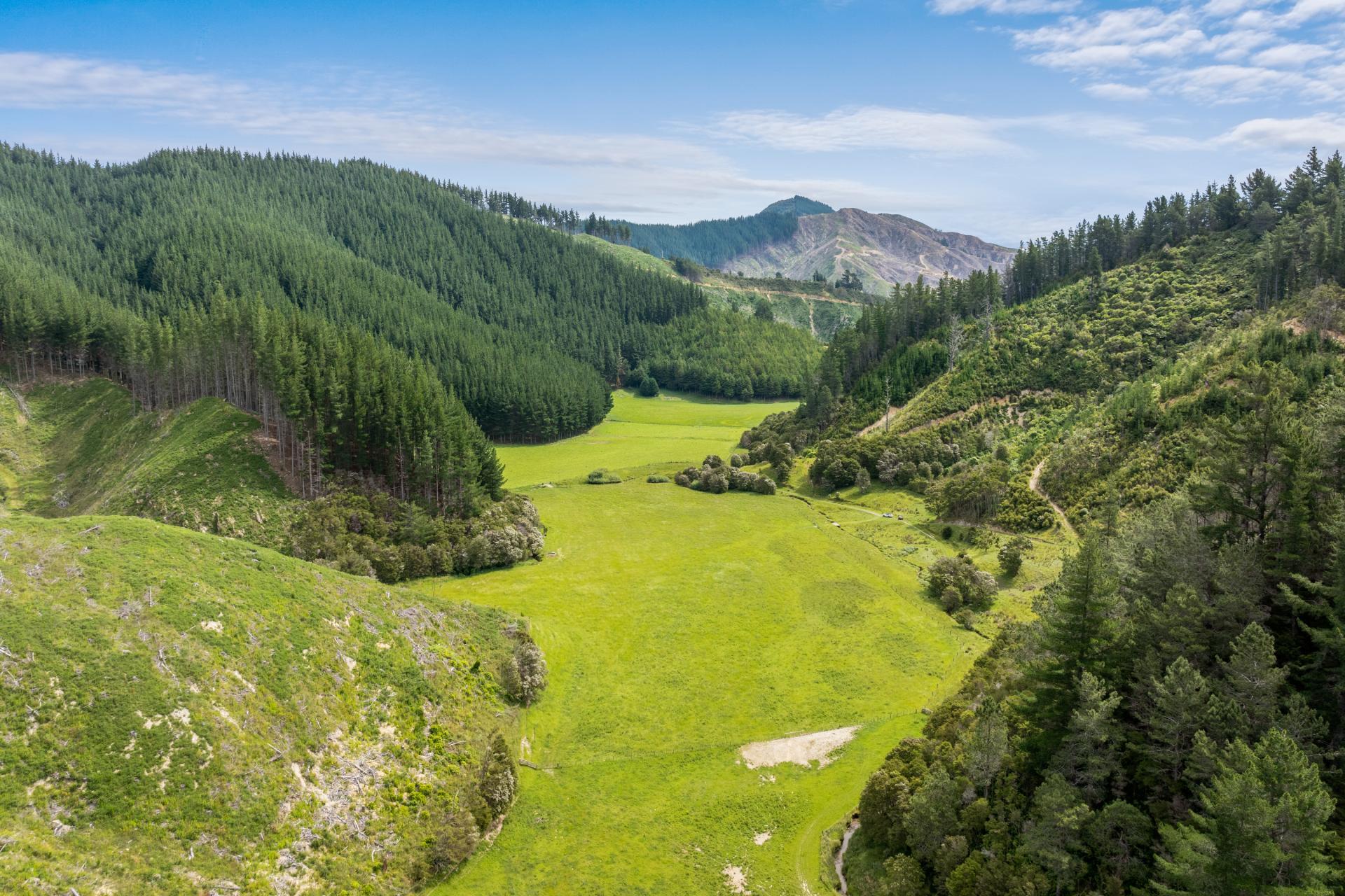 140 Leslies Road, Okaramio