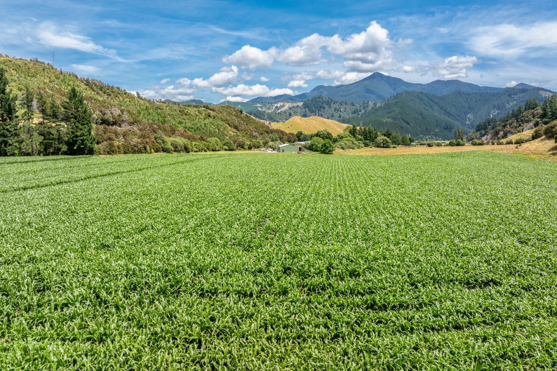 140 Leslies Road, Okaramio