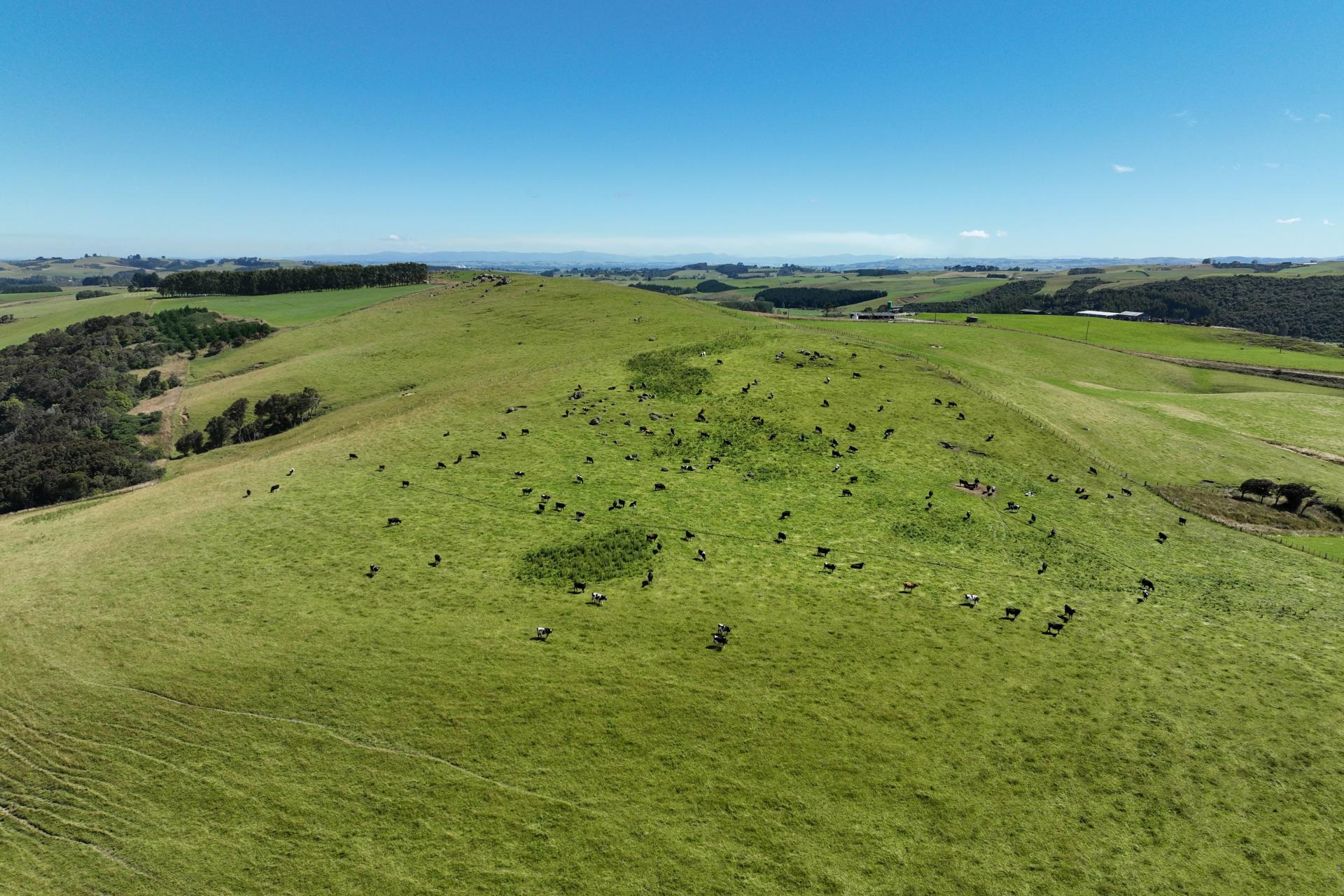 548 Mitchell Road, Glenham