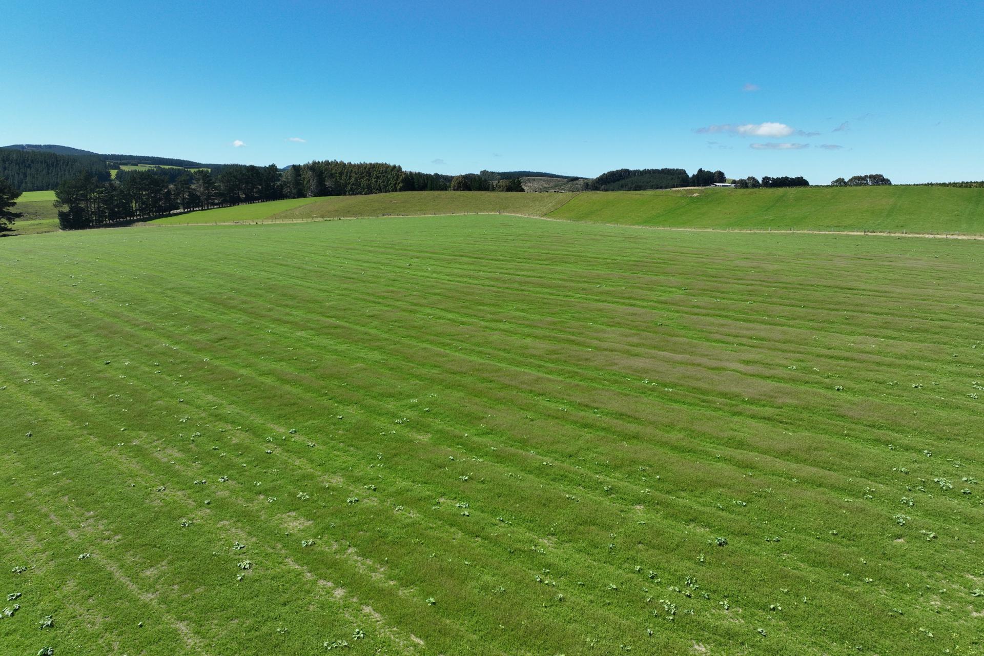 548 Mitchell Road, Glenham