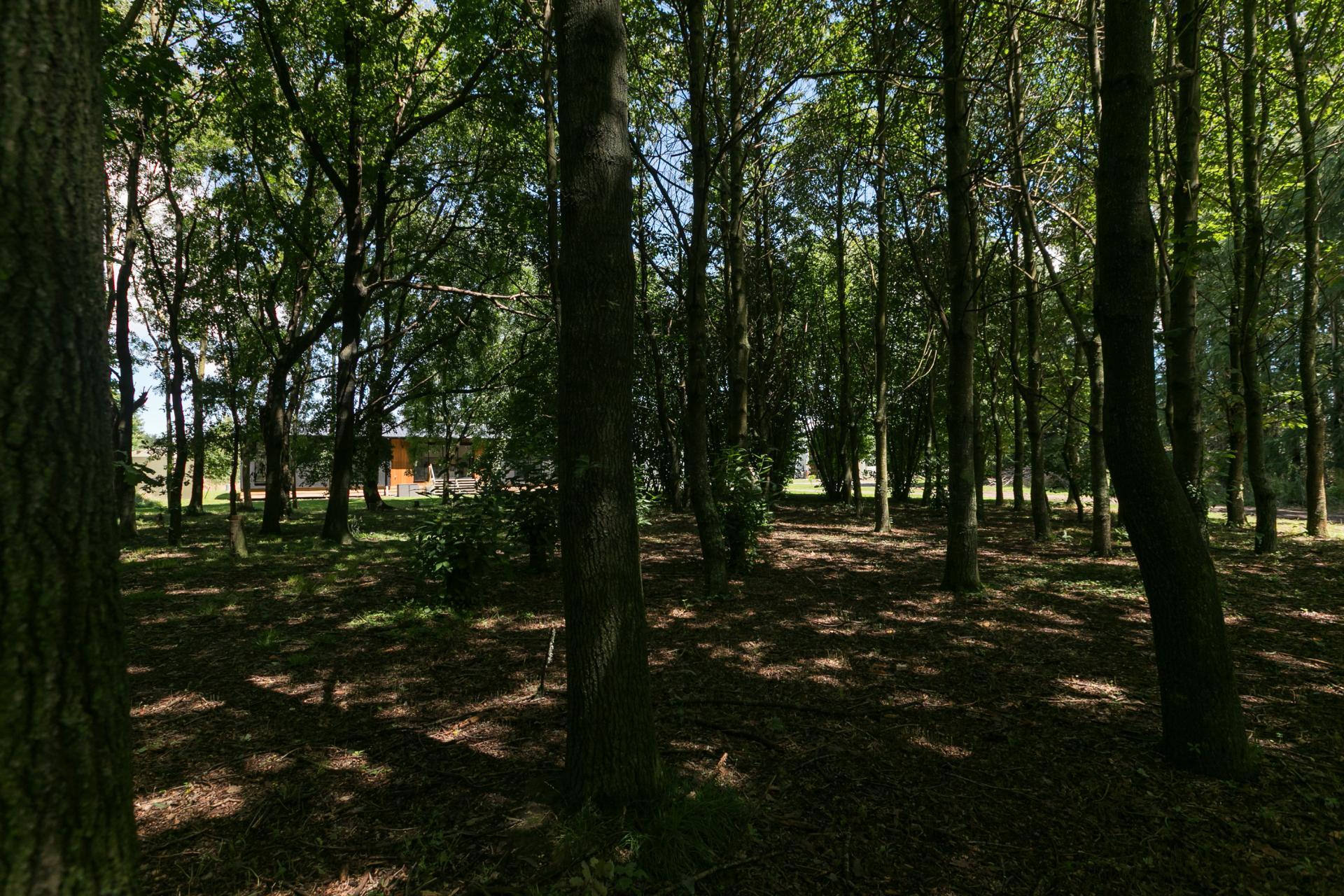 831B State Highway 2, Otane