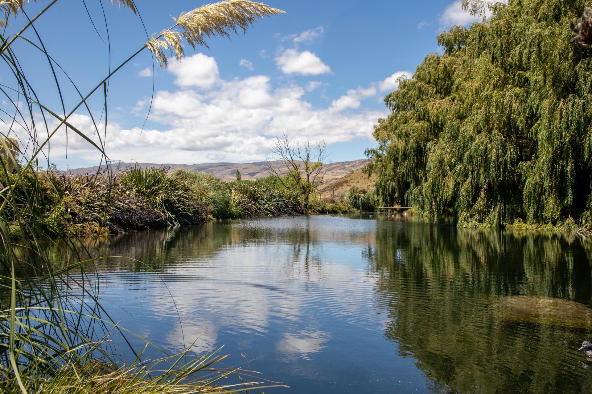83 Gilmour Road, Roxburgh