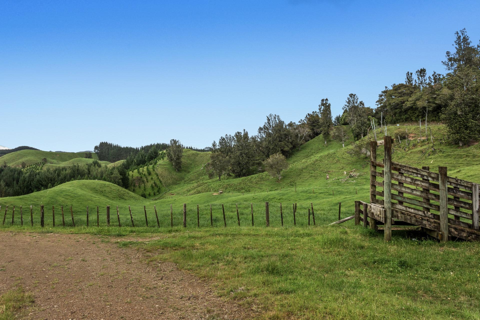 26 Settlement Road, Pikowai