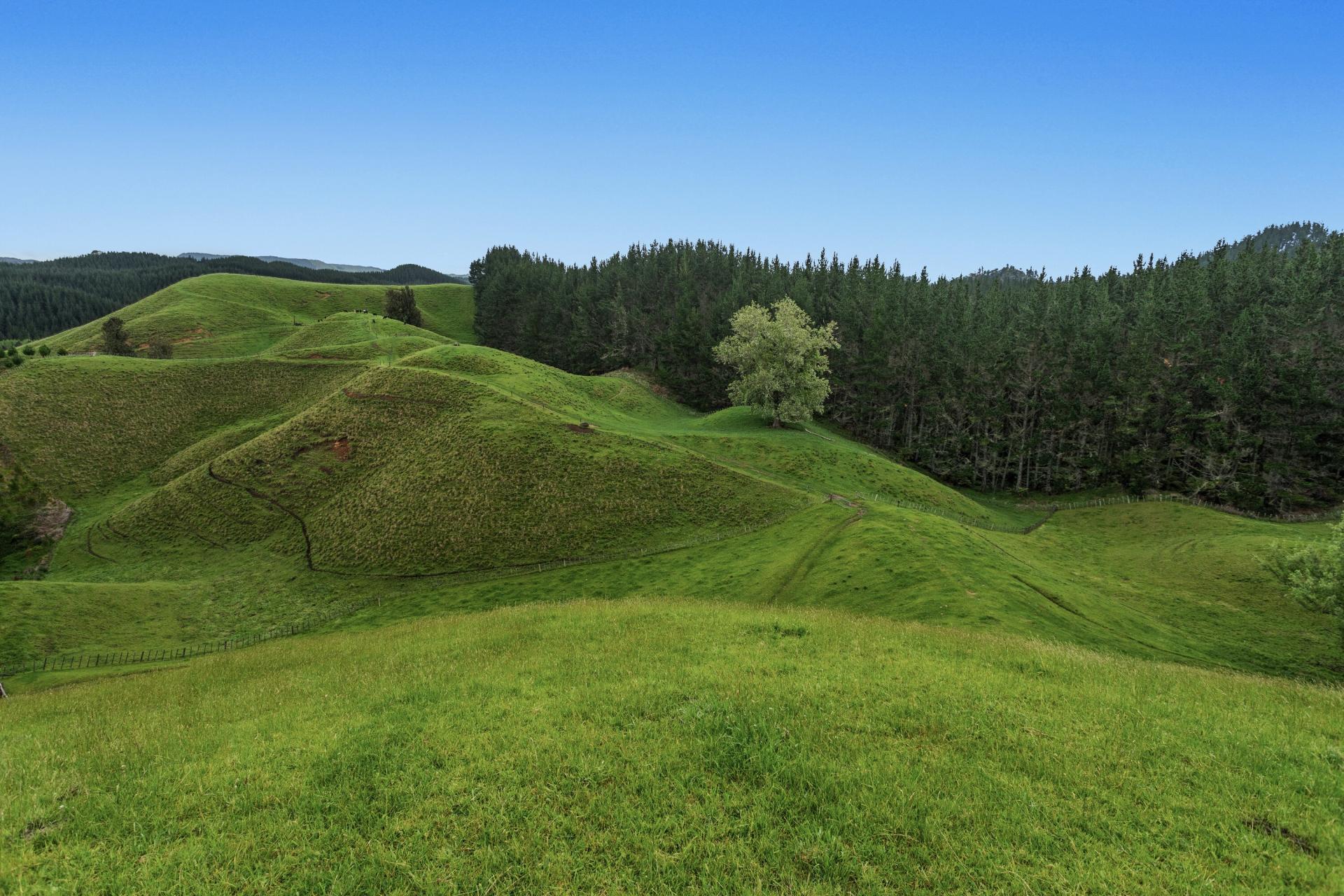 26 Settlement Road, Pikowai