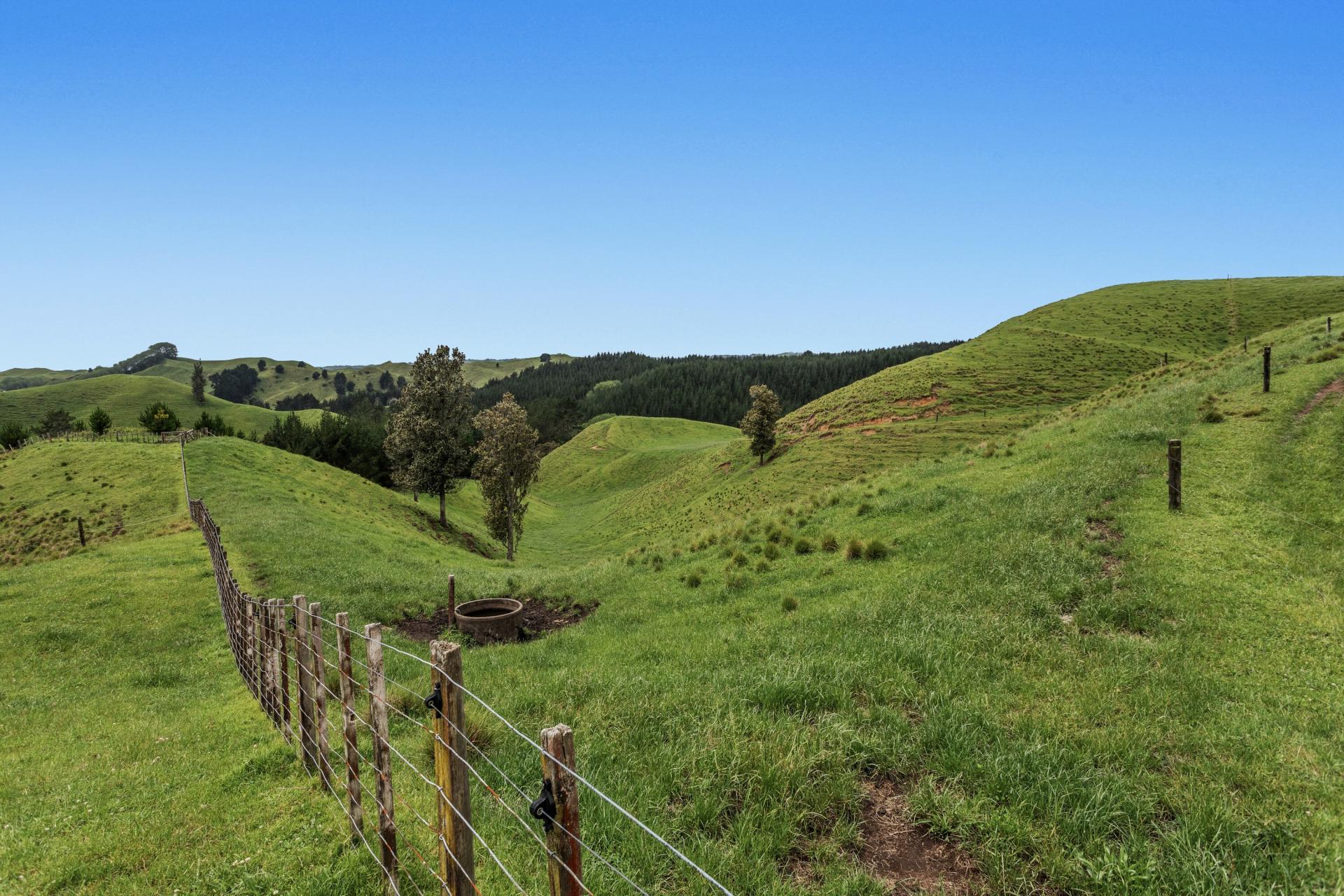 26 Settlement Road, Pikowai