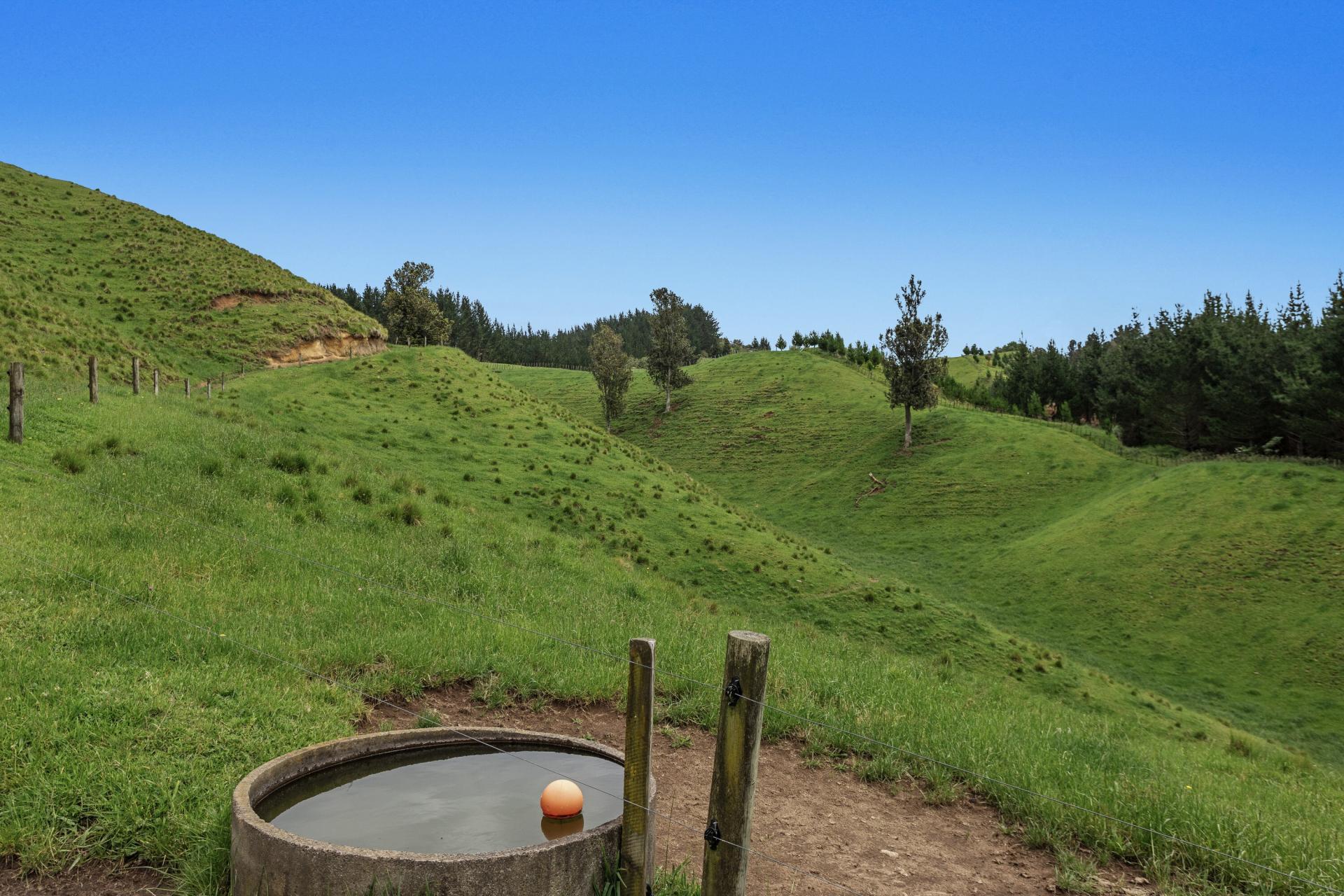 26 Settlement Road, Pikowai