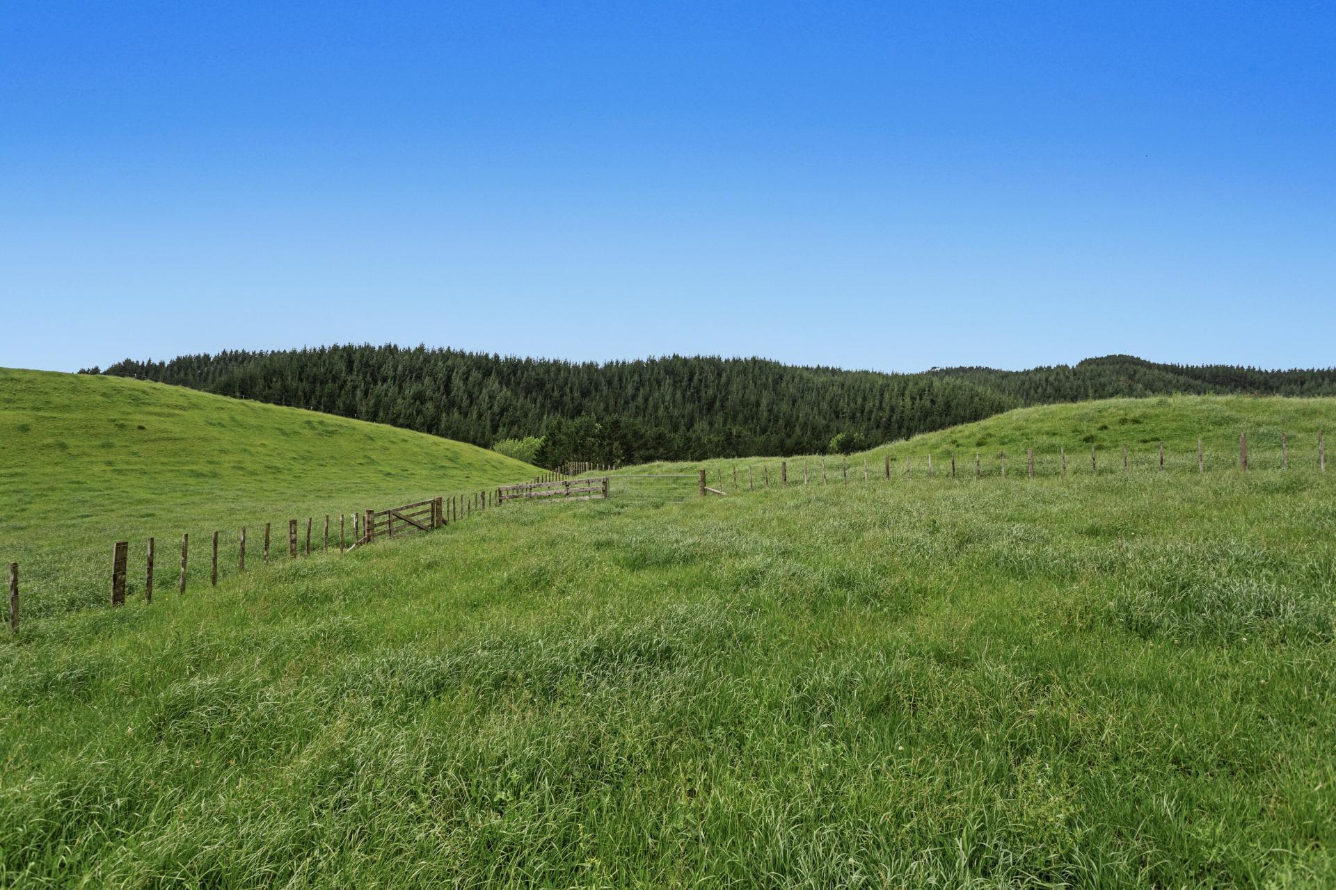 26 Settlement Road, Pikowai