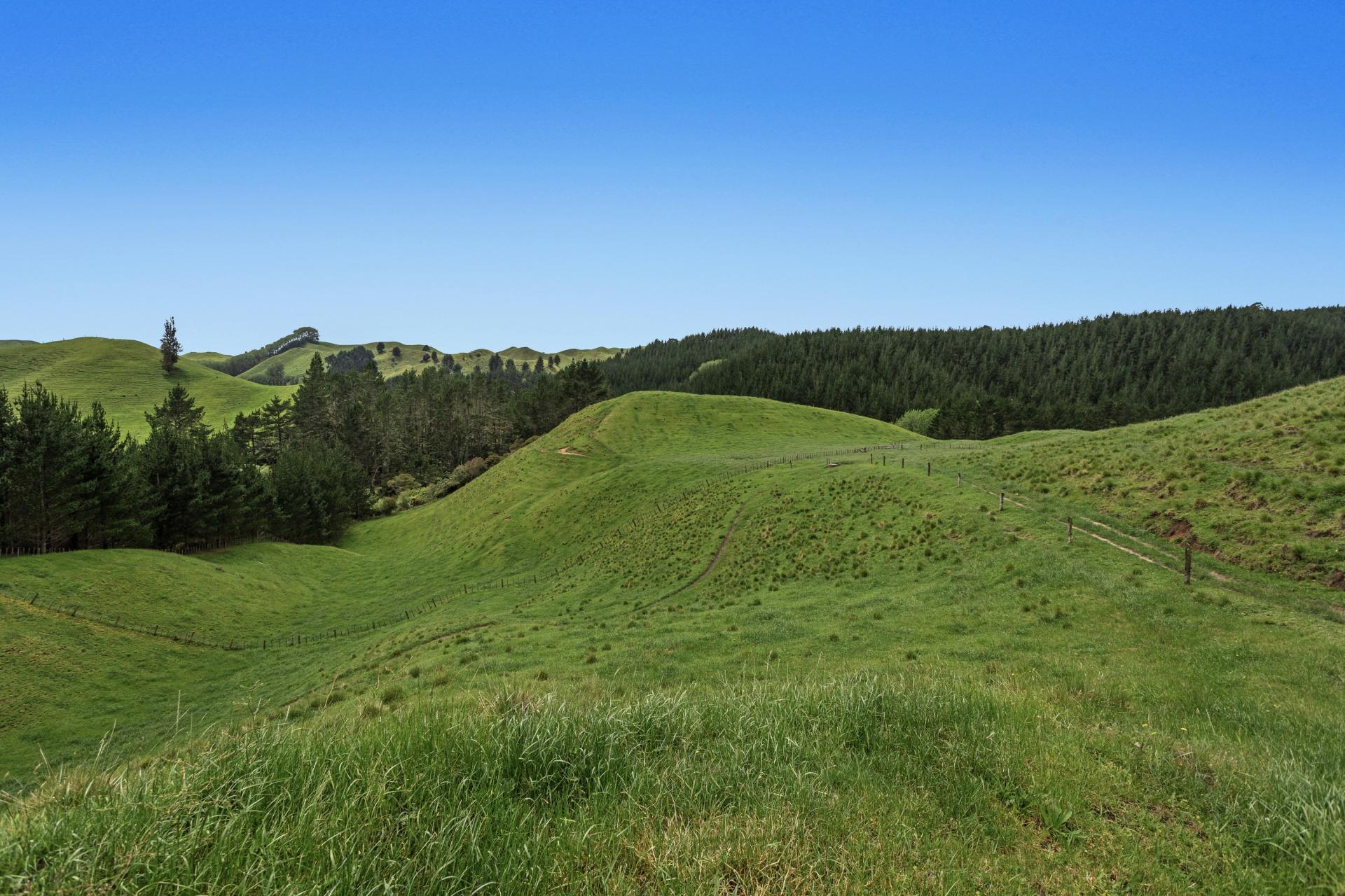 26 Settlement Road, Pikowai