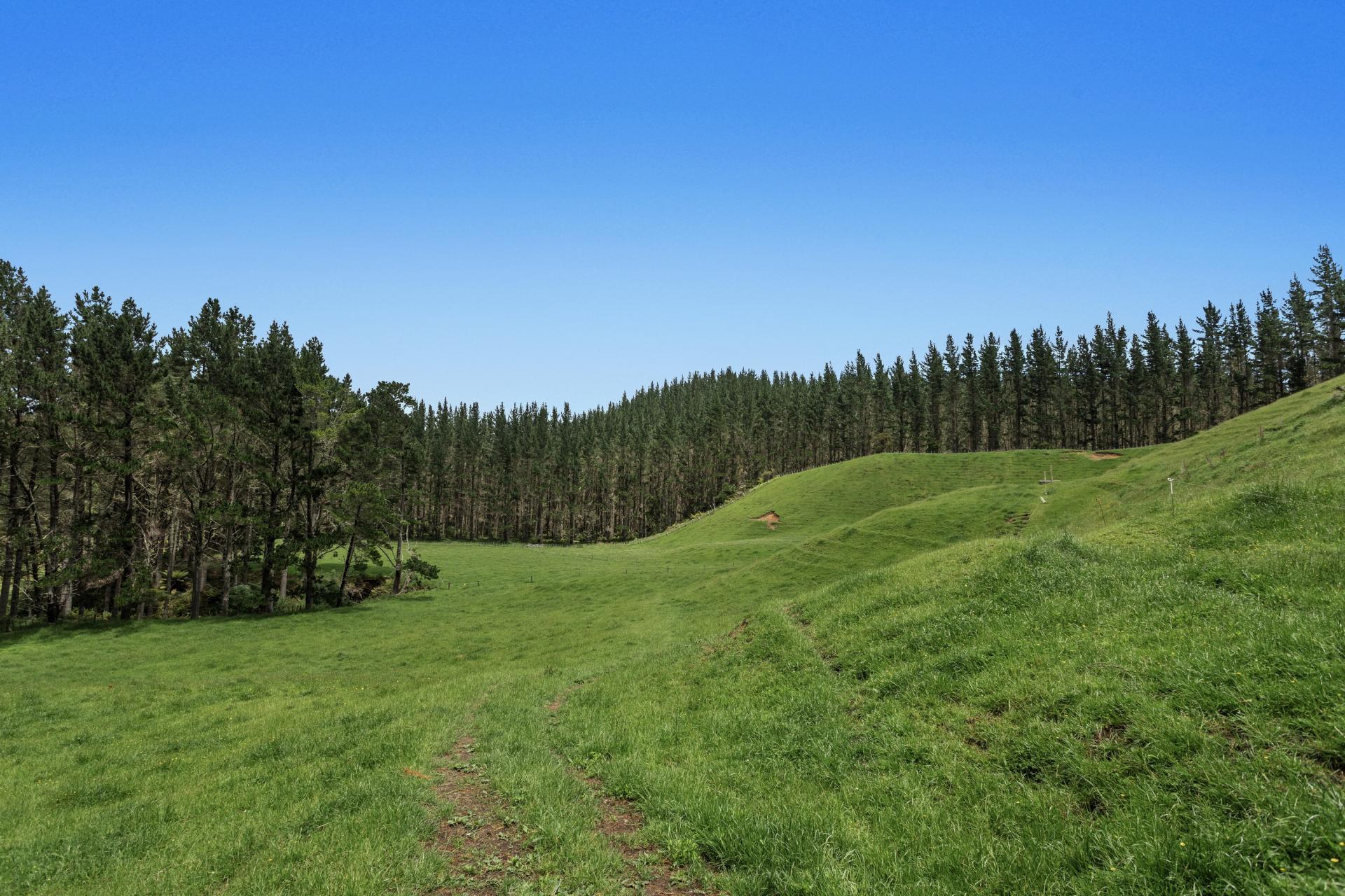 26 Settlement Road, Pikowai