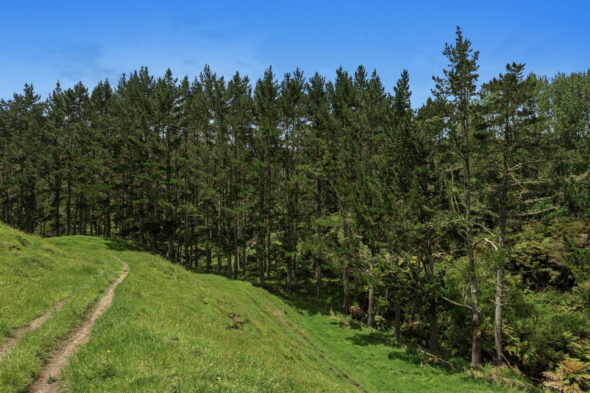 26 Settlement Road, Pikowai