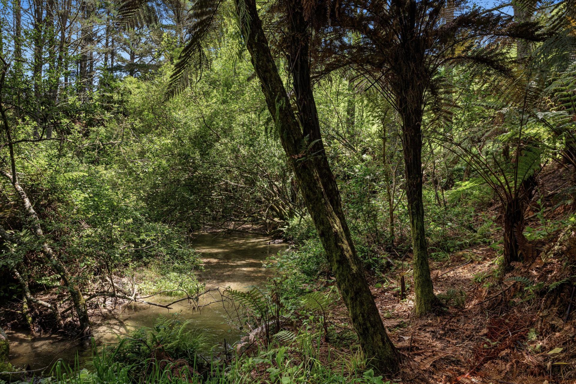 26 Settlement Road, Pikowai