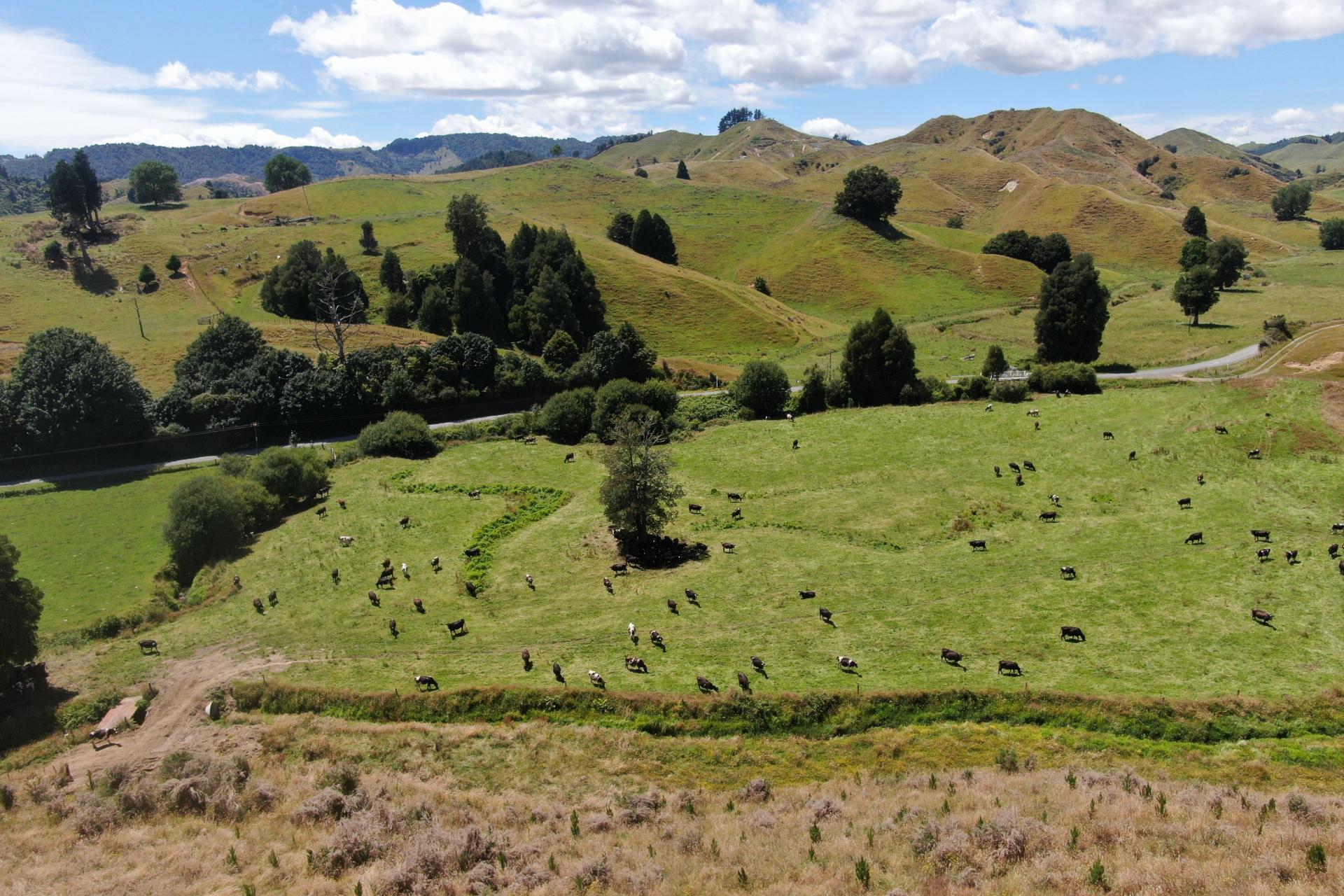 168 Matiere Road, Aria