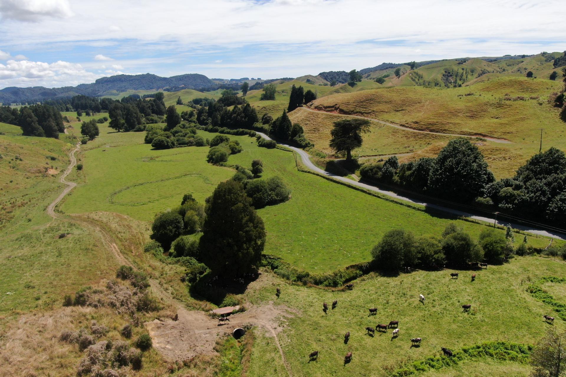 168 Matiere Road, Aria