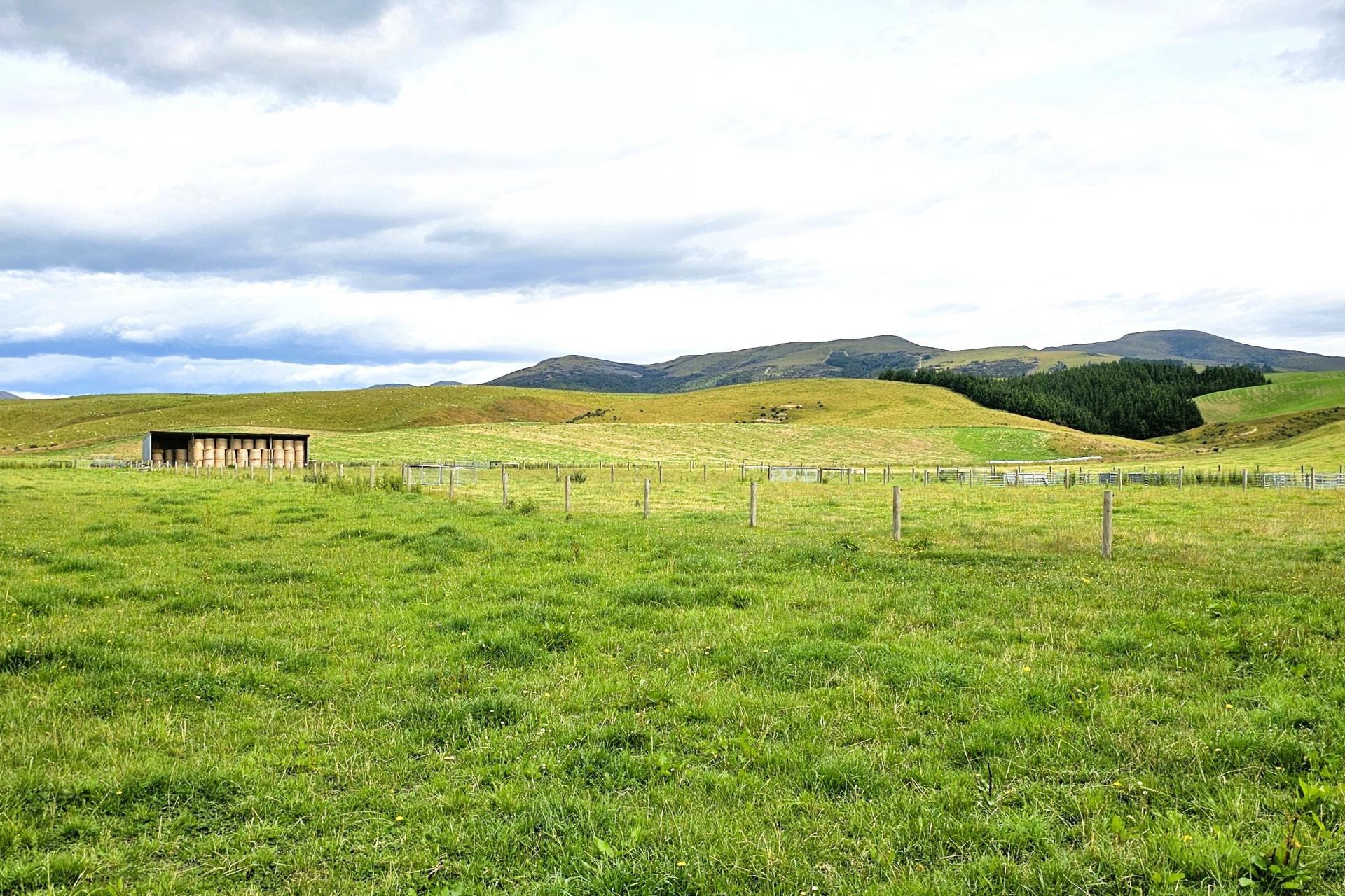 542 Piano Flat Road, Waikaia