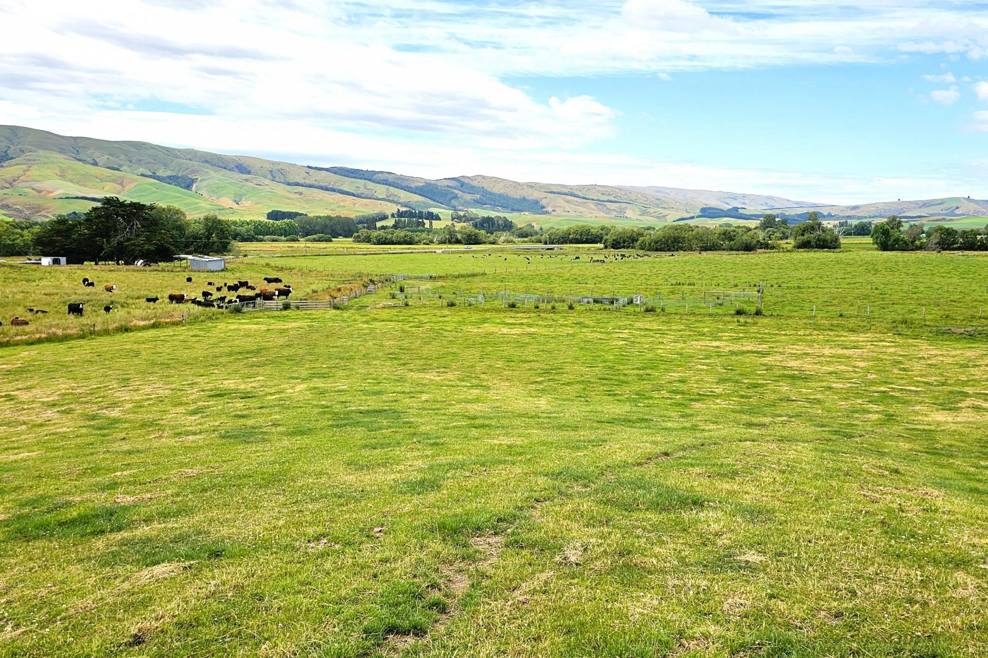 542 Piano Flat Road, Waikaia