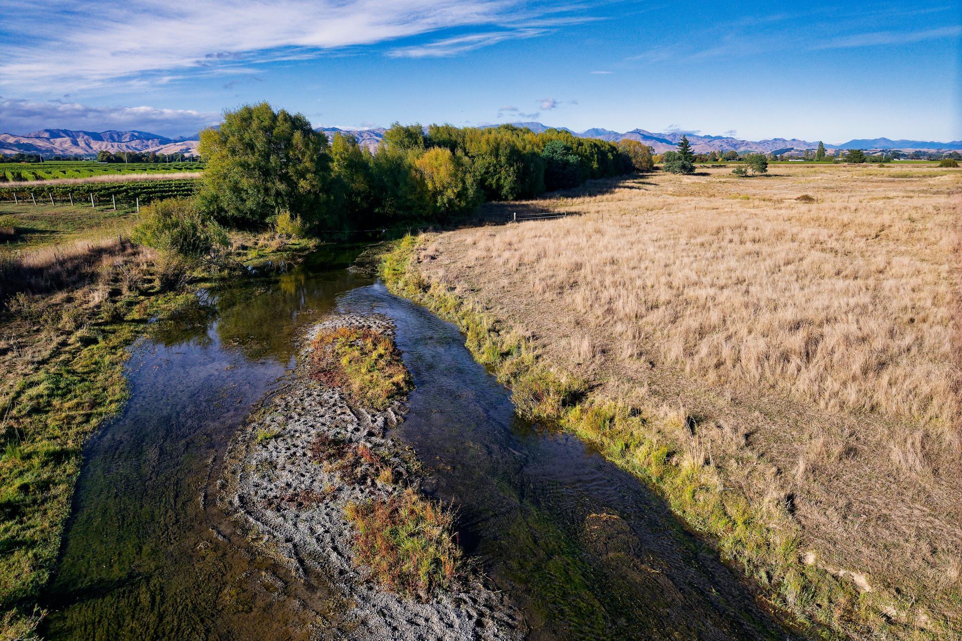 167 Hammerichs Road, Rapaura