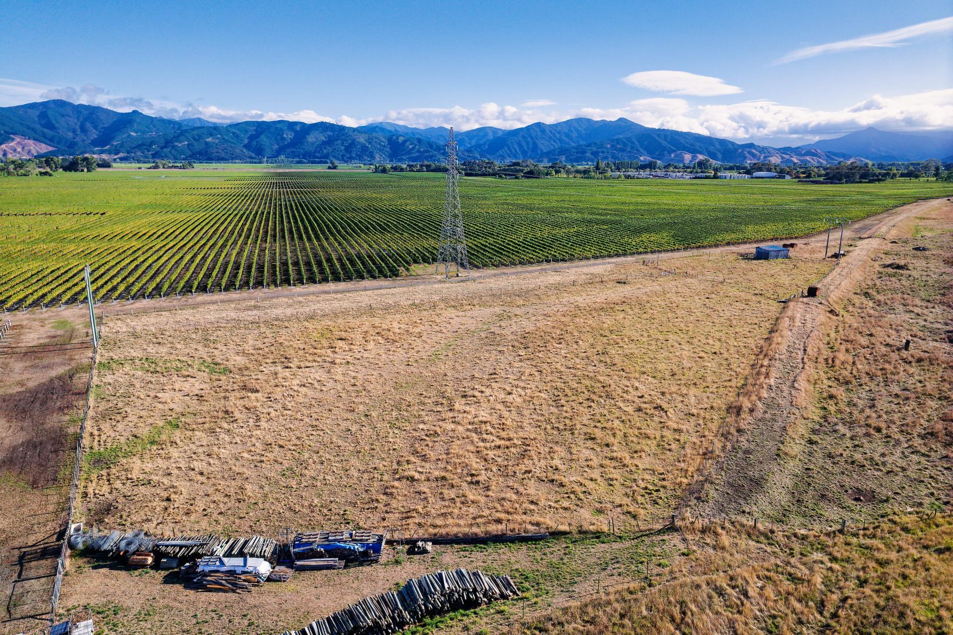 167 Hammerichs Road, Rapaura