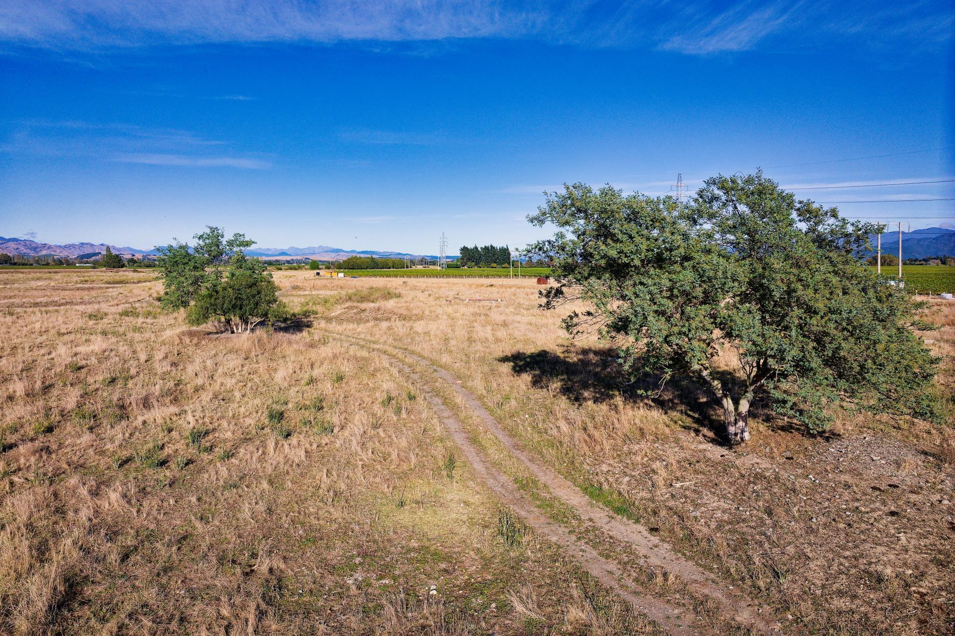 167 Hammerichs Road, Rapaura