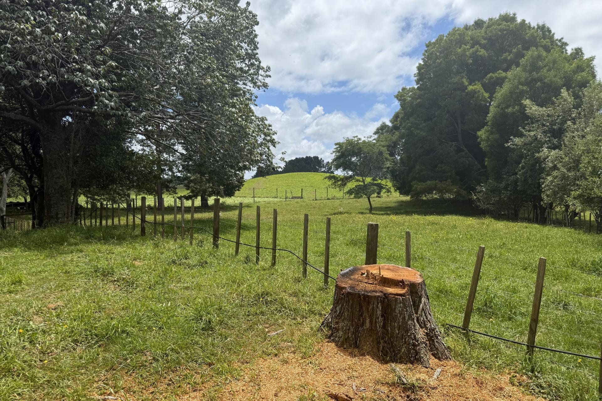 15 Scott Road, Putaruru