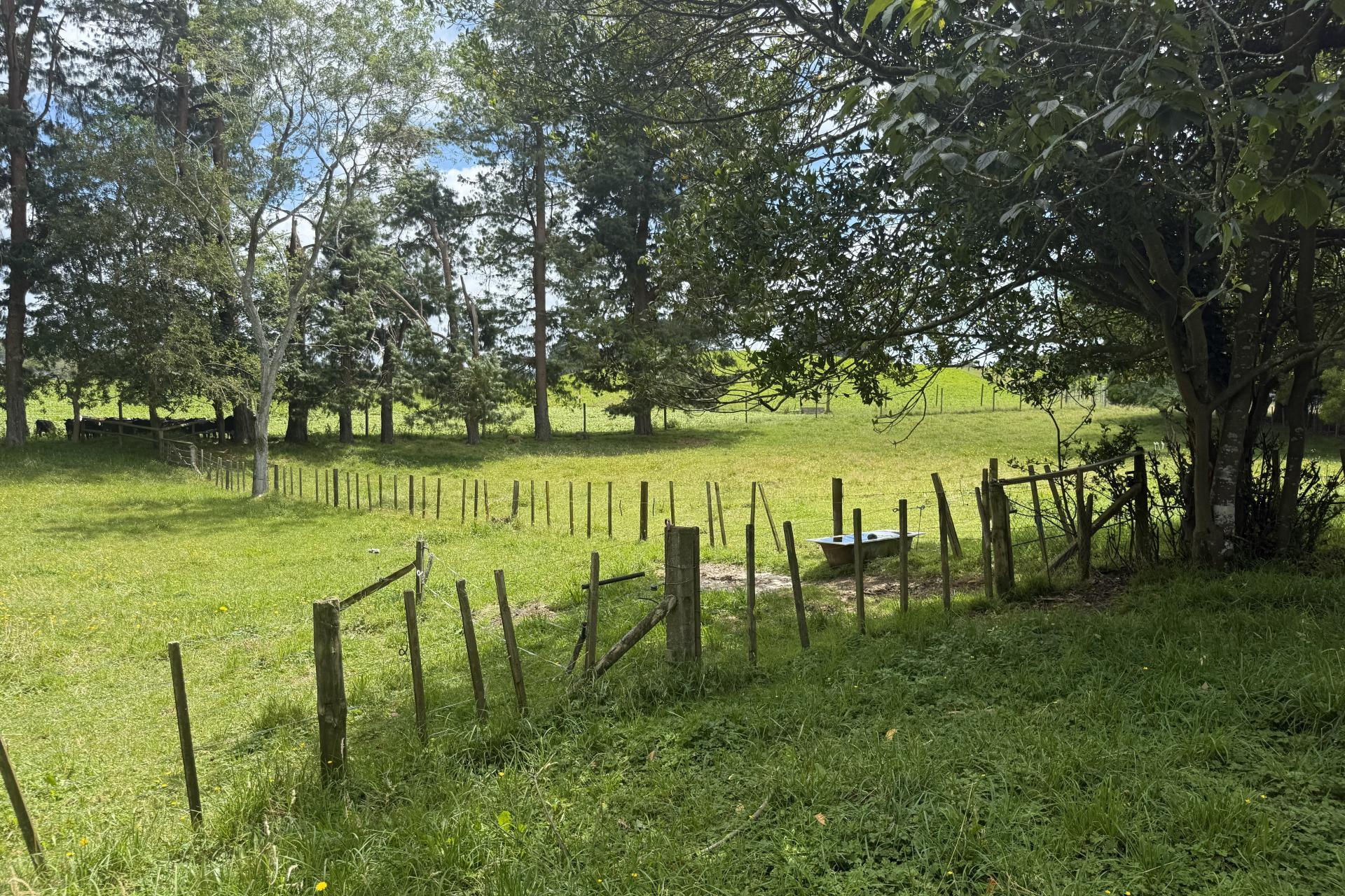 15 Scott Road, Putaruru