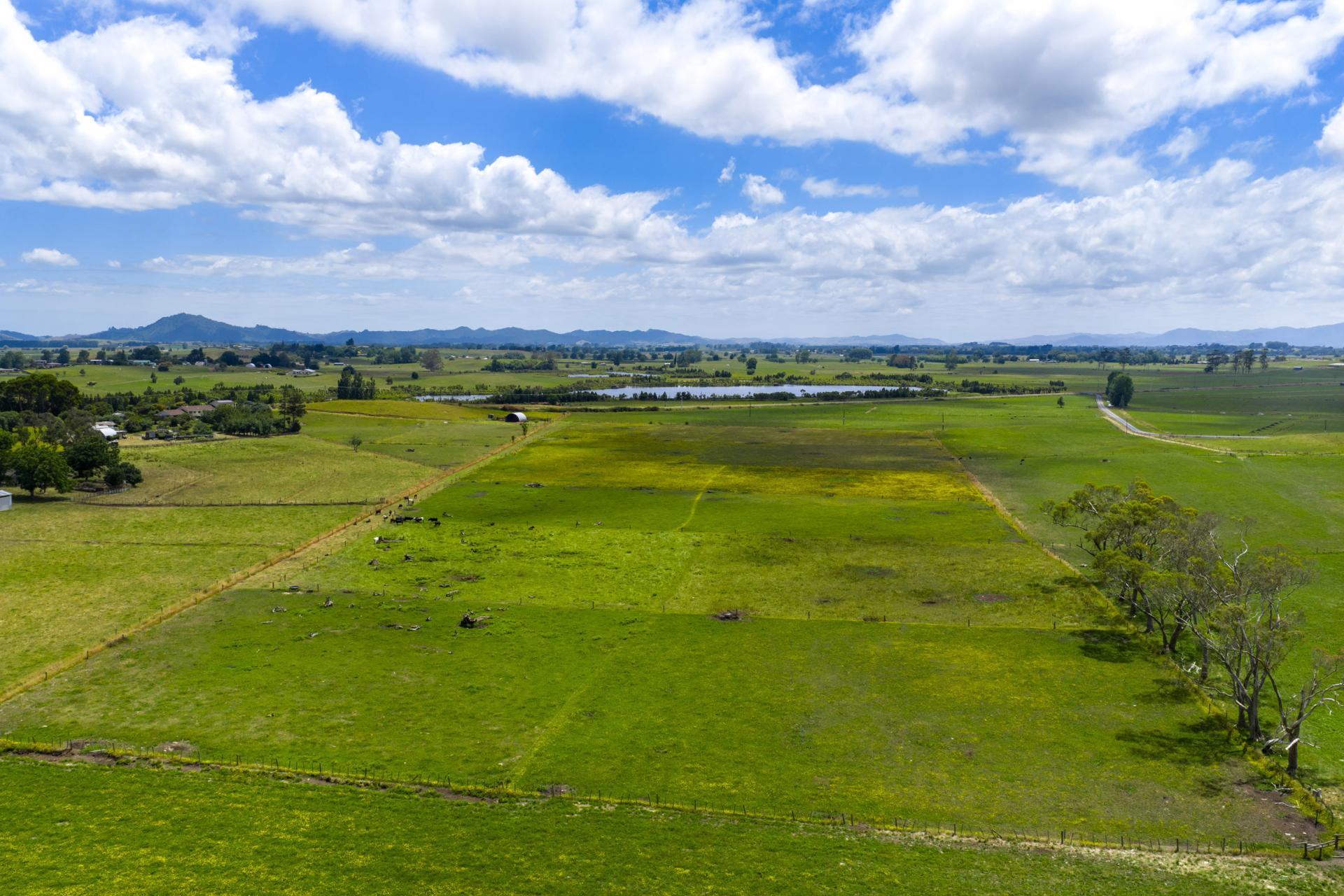 Bankier Road, Horsham Downs