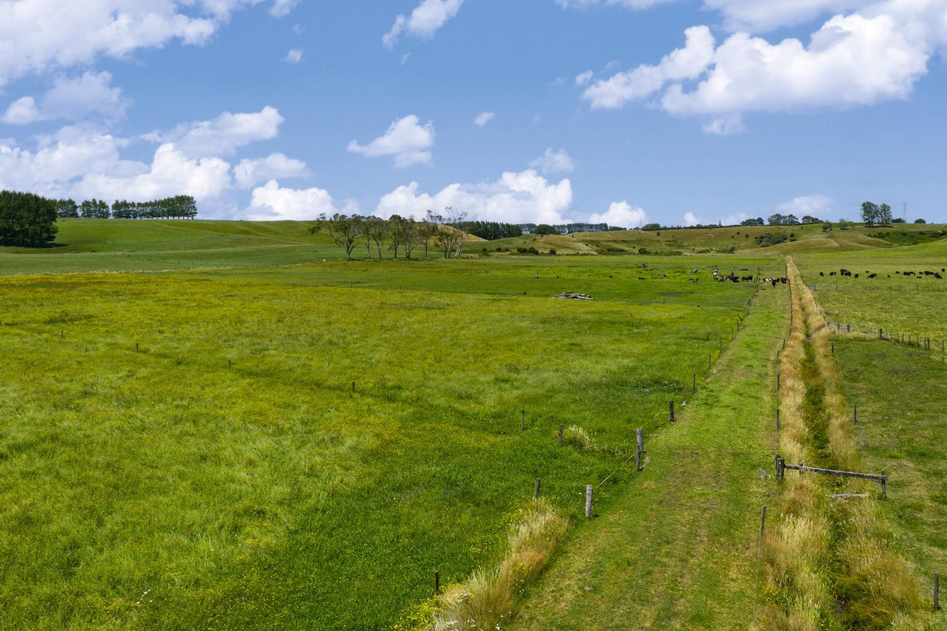 Bankier Road, Horsham Downs