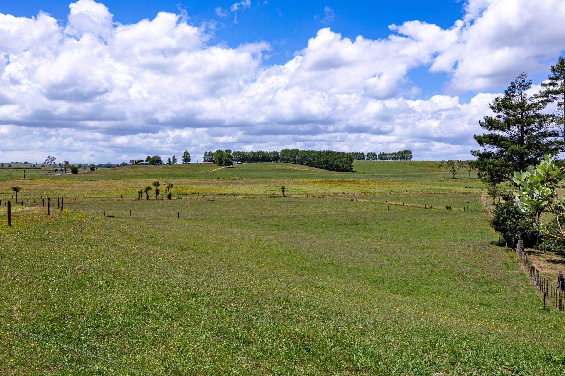 Bankier Road, Horsham Downs