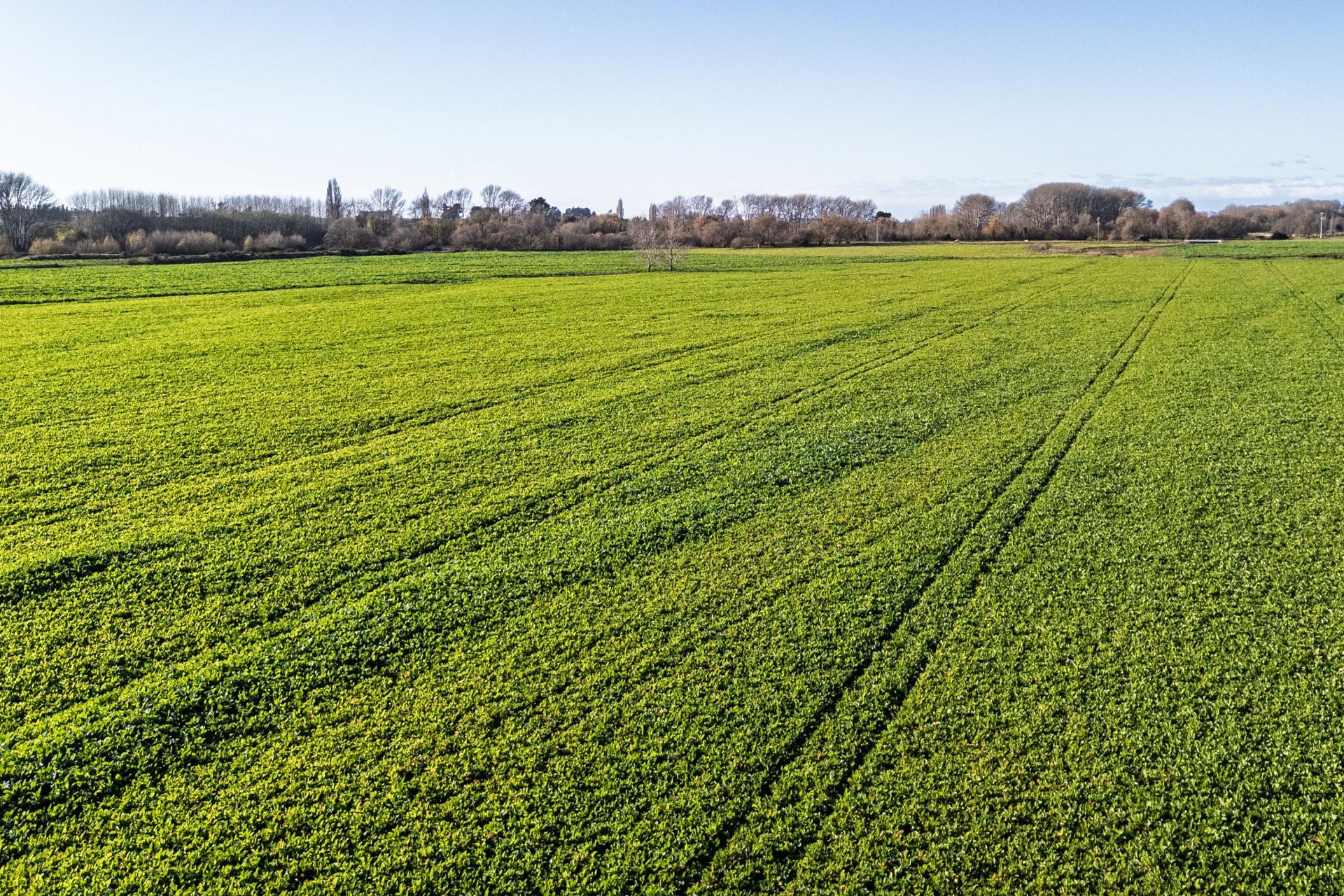 Pareora River Road, Southburn