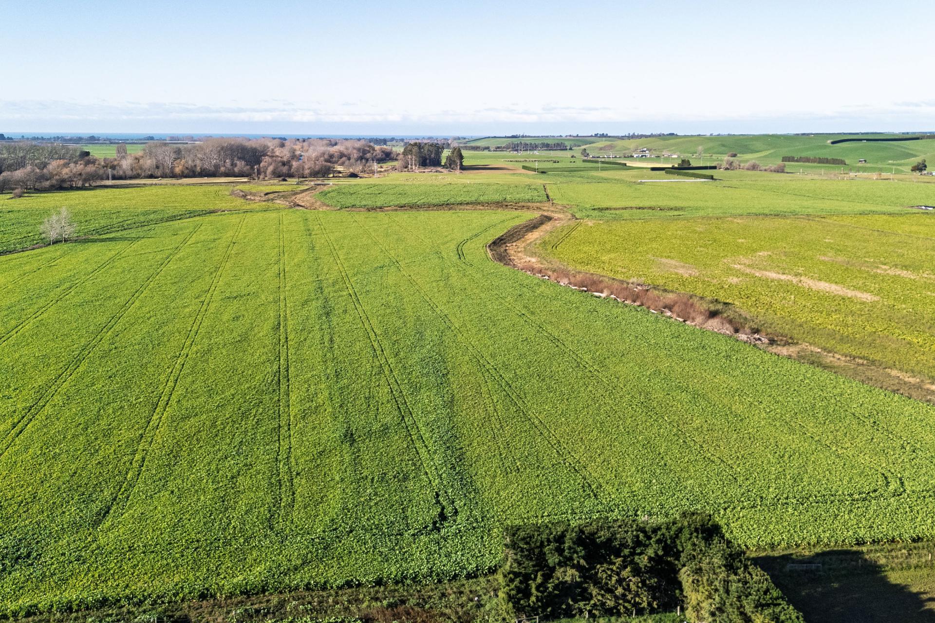 Pareora River Road, Southburn