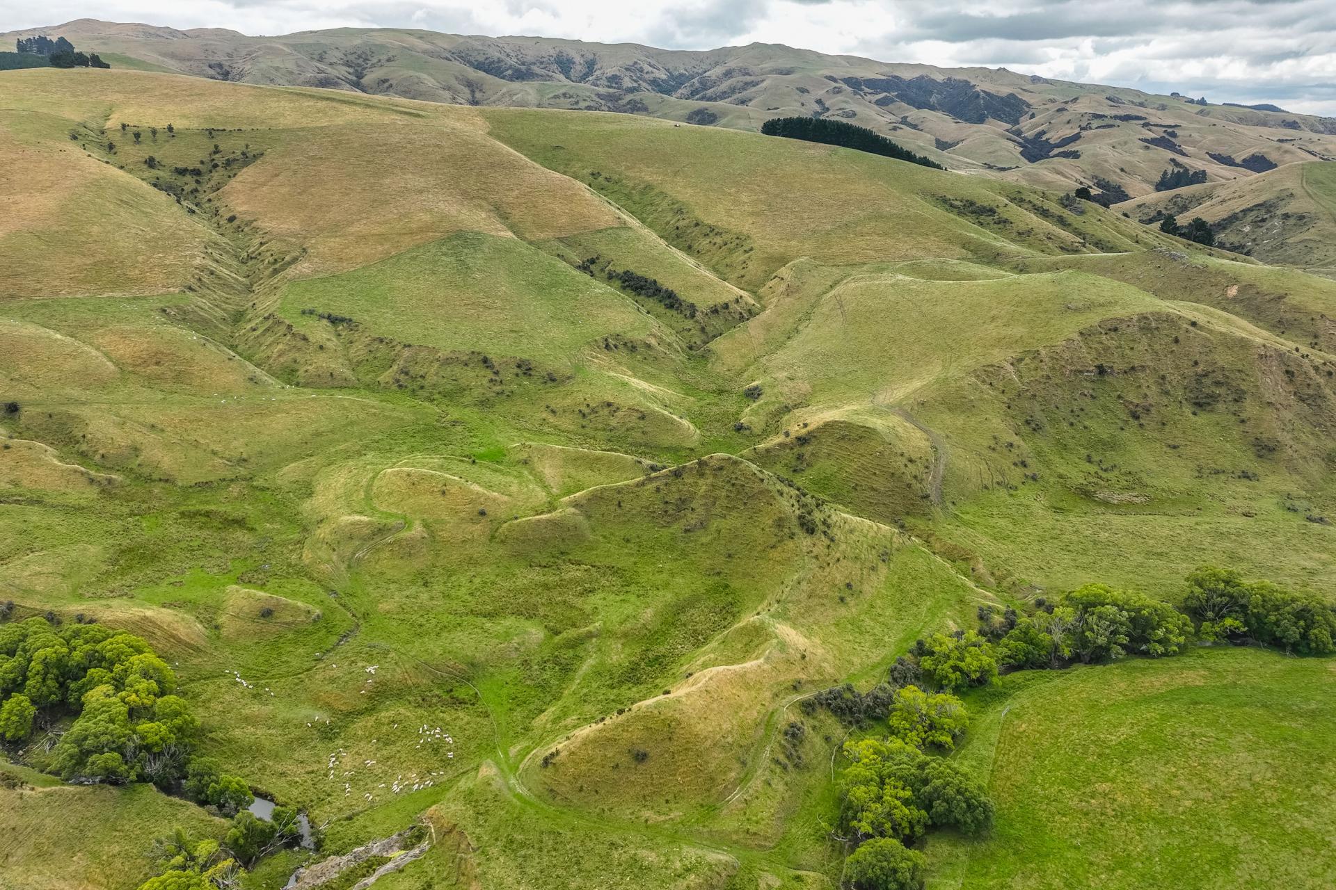 2 Cotswold Road, Omihi