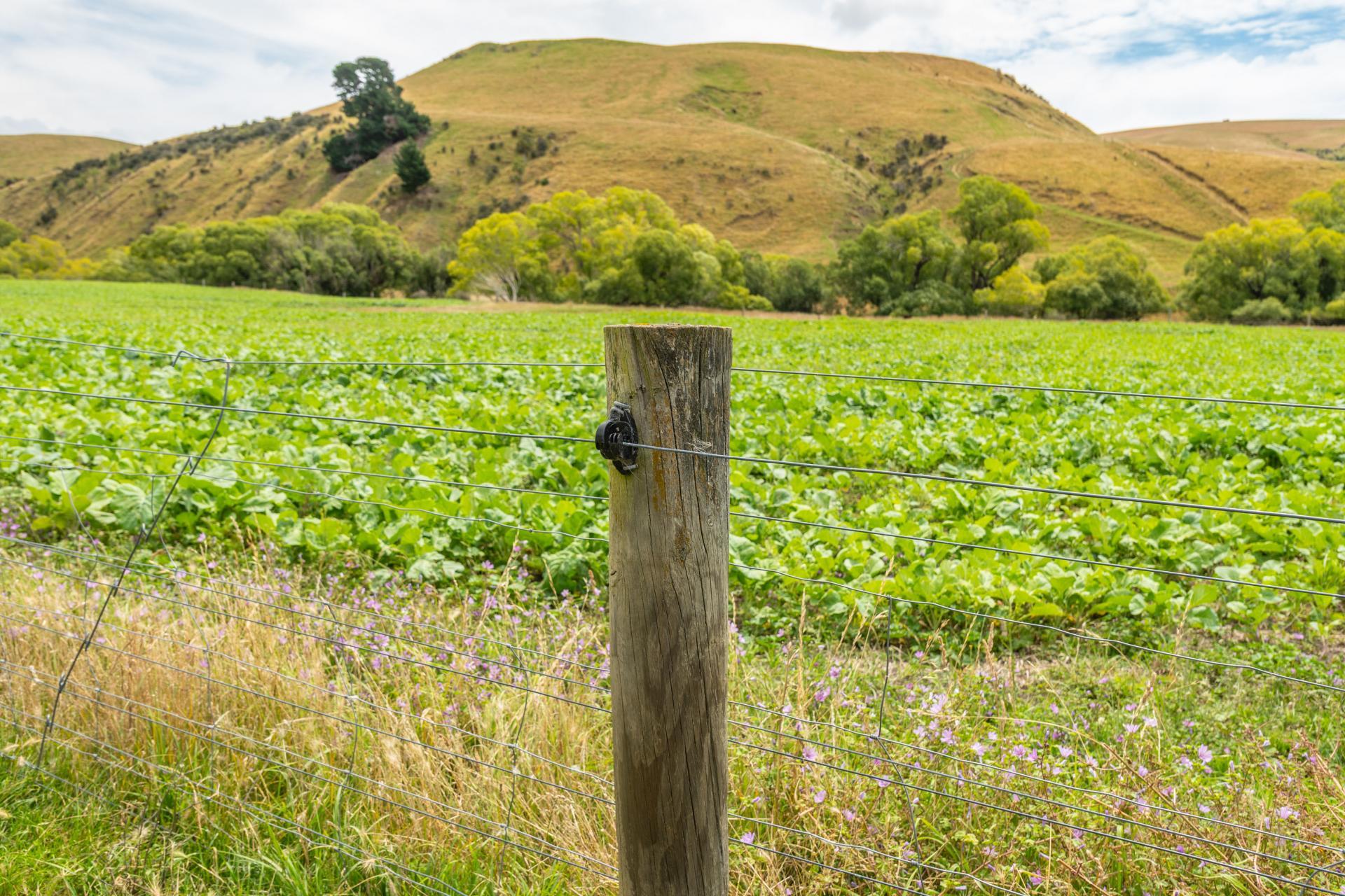 2 Cotswold Road, Omihi