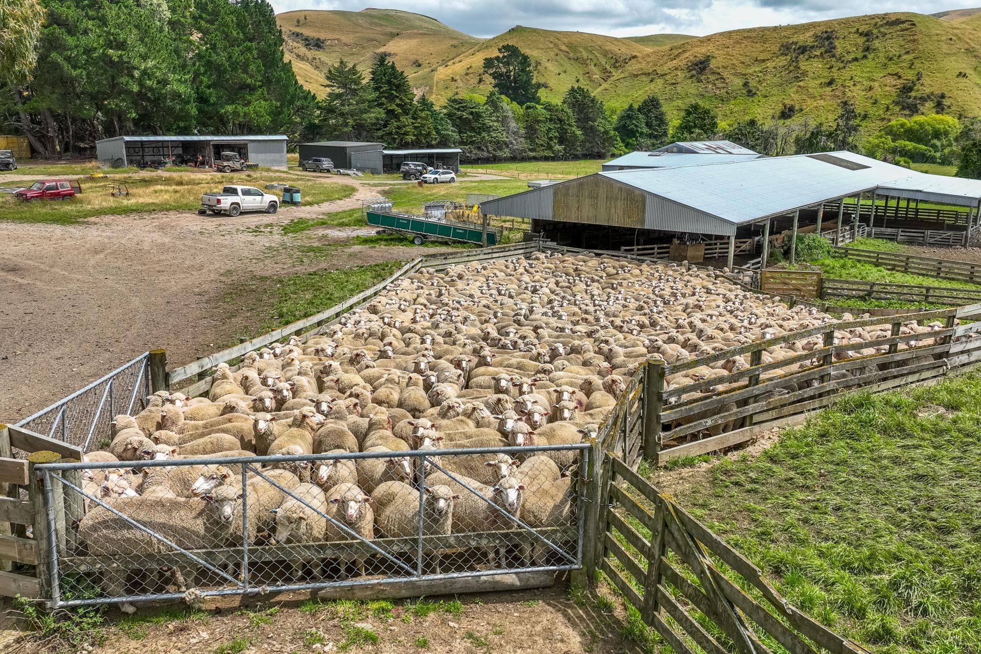 2 Cotswold Road, Omihi