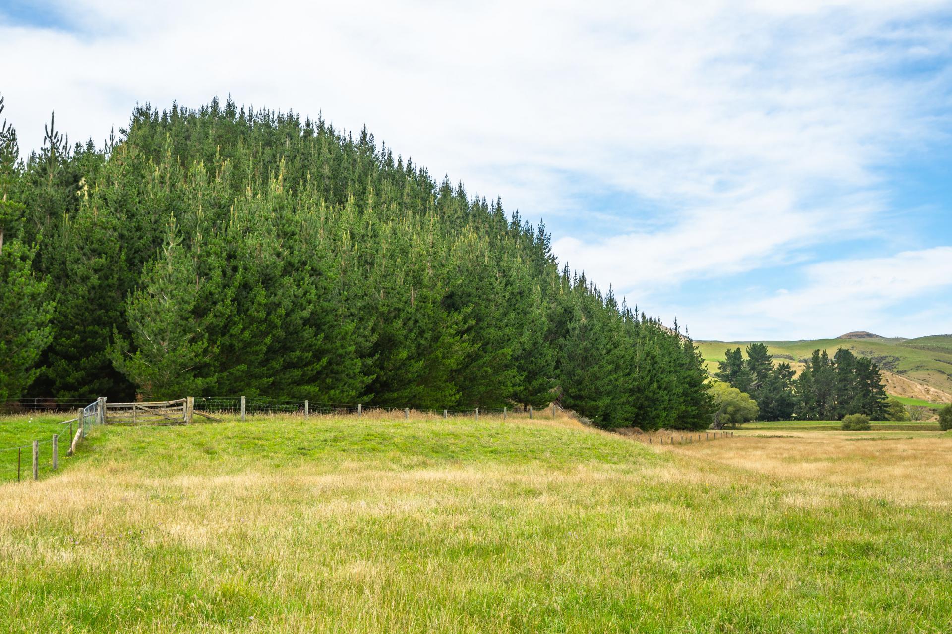 2 Cotswold Road, Omihi