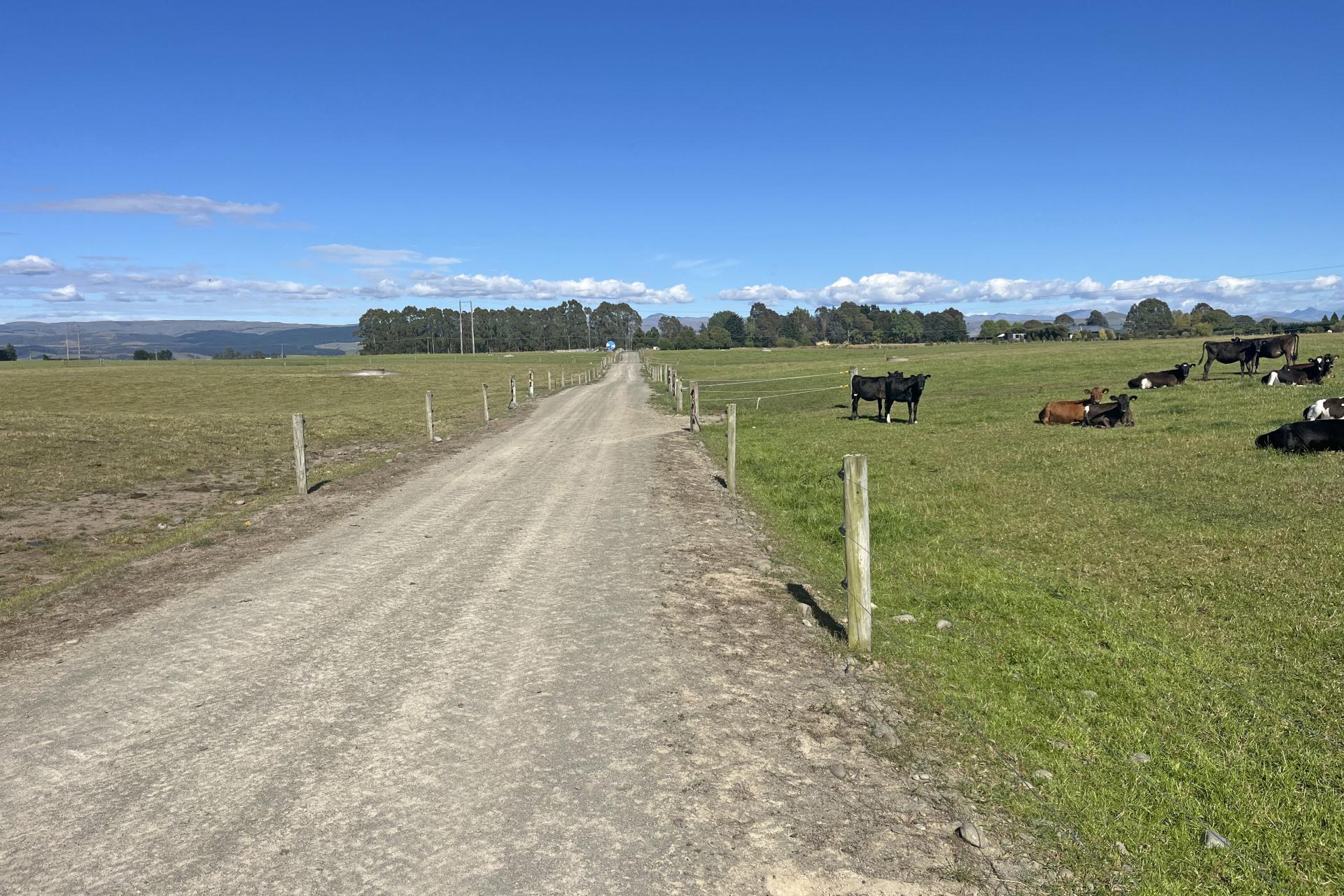 790 Alma-Maheno Road, Reidston