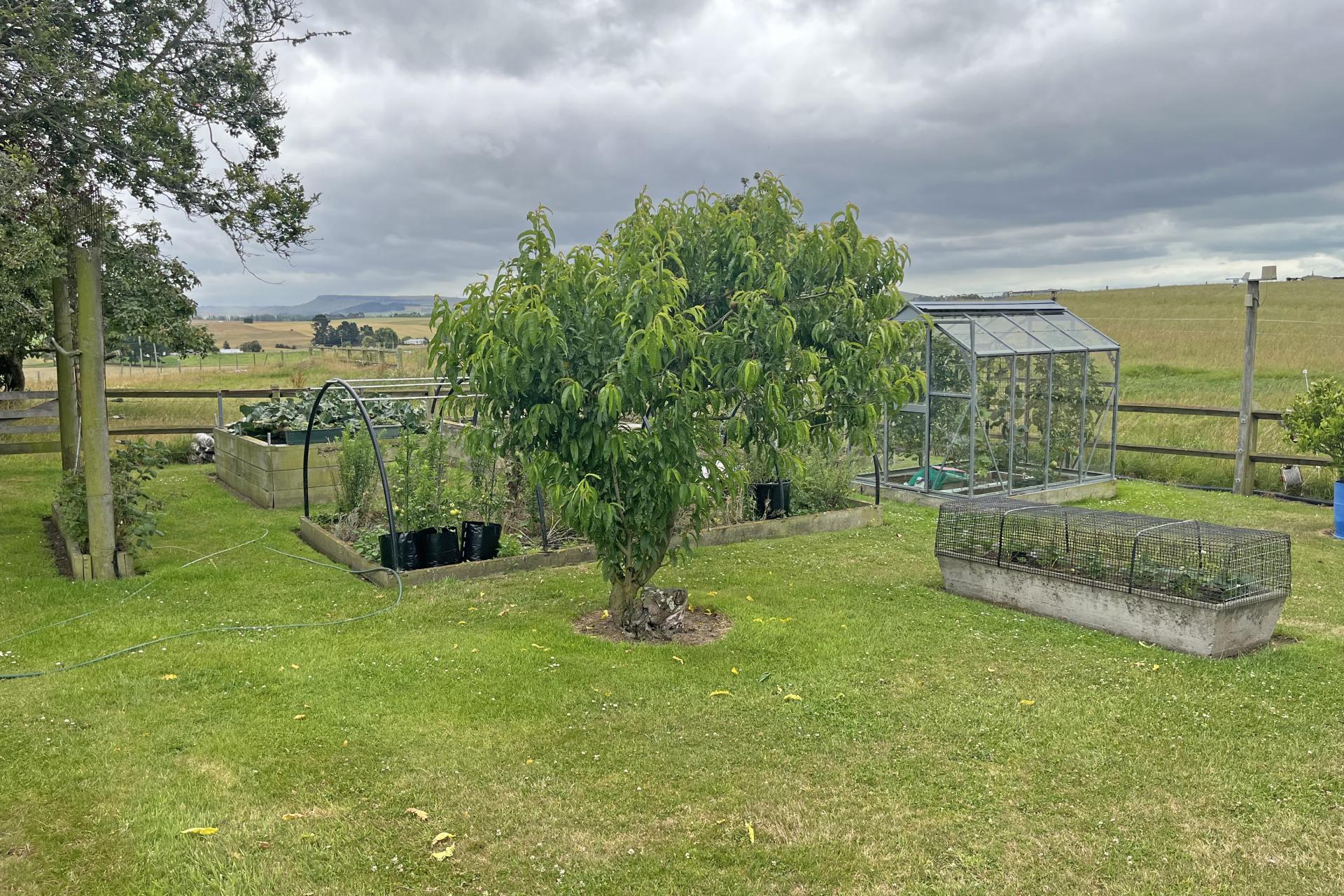 790 Alma-Maheno Road, Reidston